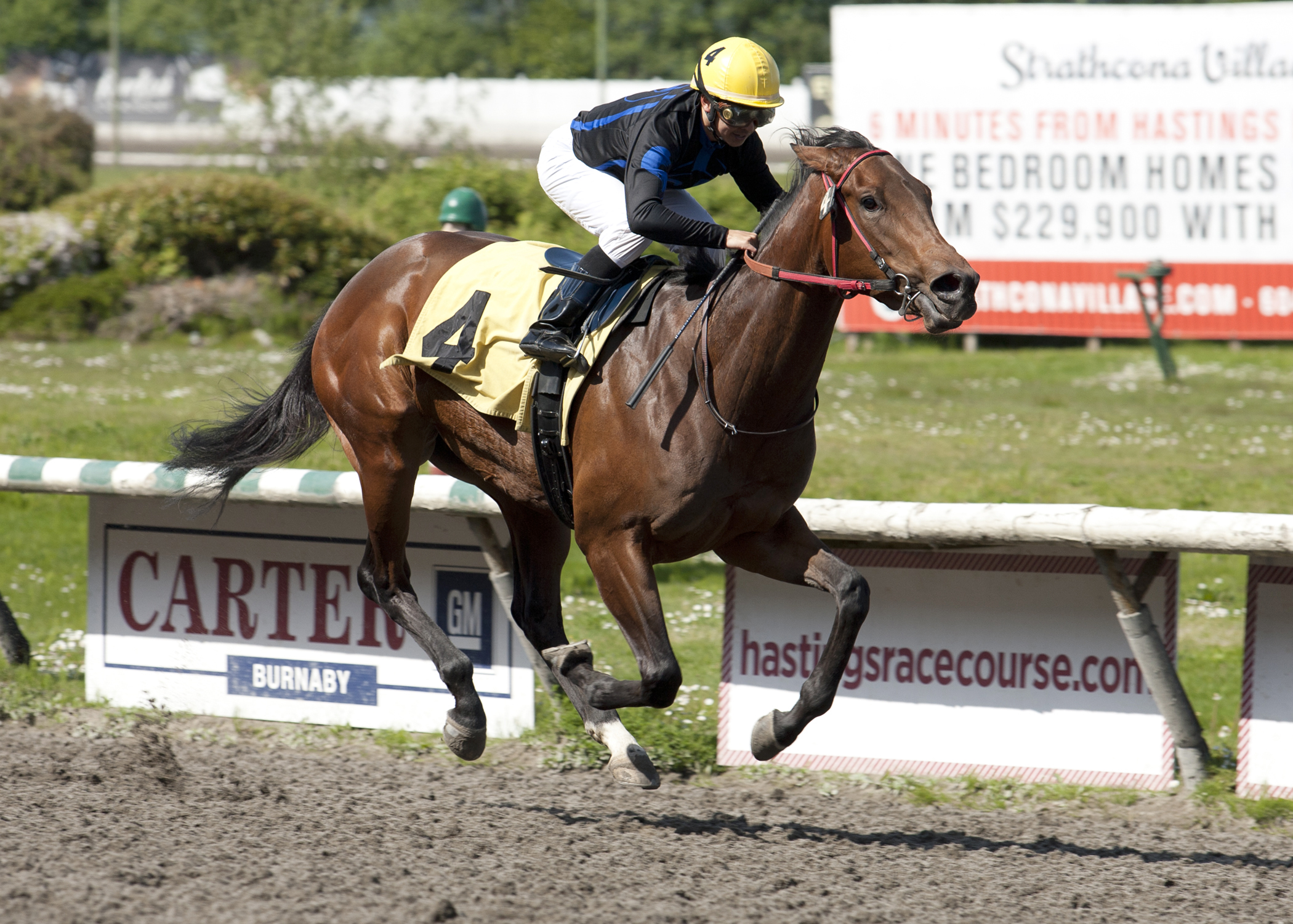 Quatre Cat wins the Ross McLeod Stakes
