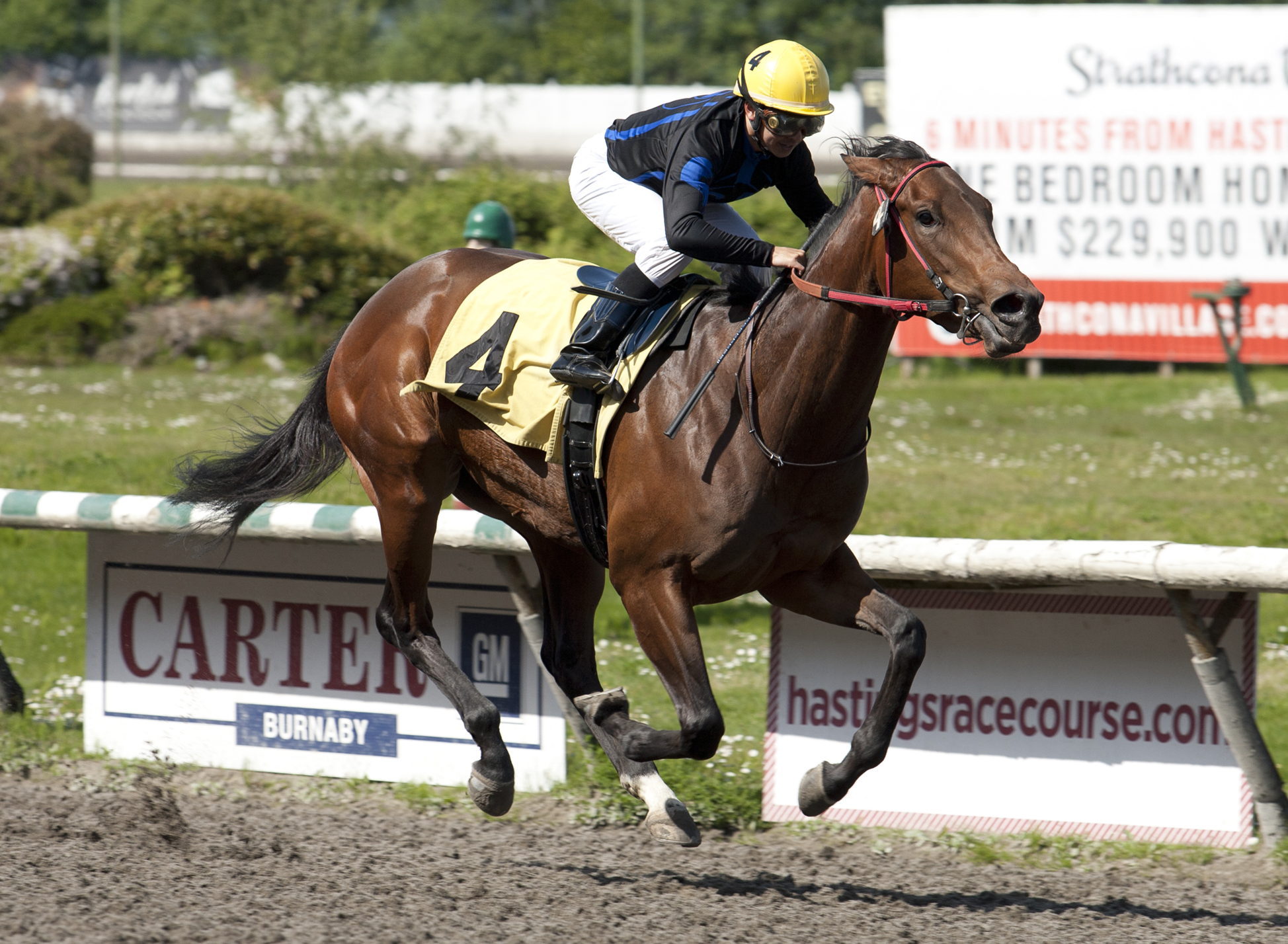 Quatre Cat wins the Ross McLeod Stakes