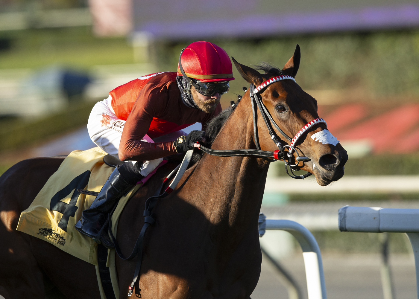 Quattroelle wins the Blue Norther Stakes 12-31-2020