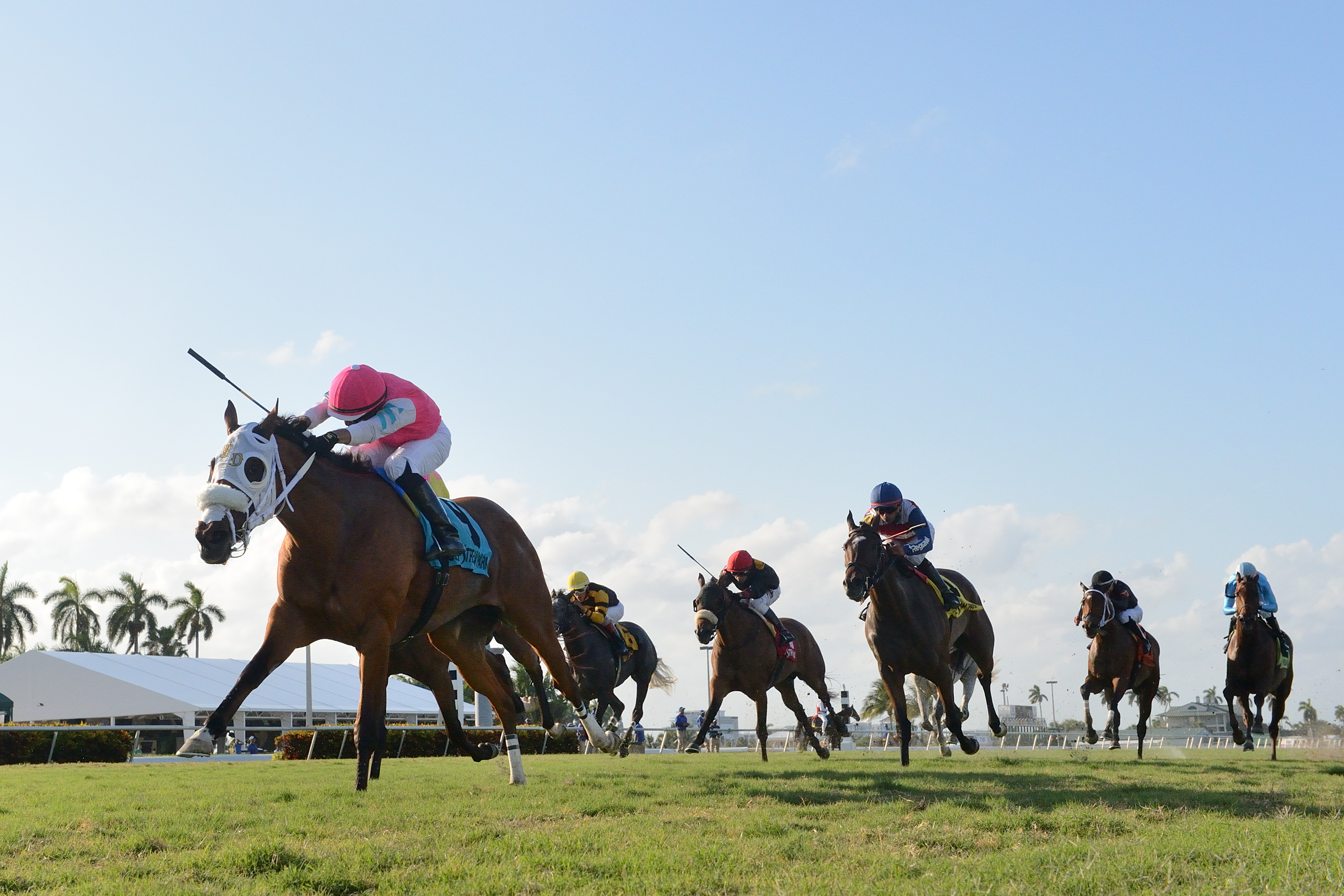 Quebec wins the 2019 Powder Break Stakes