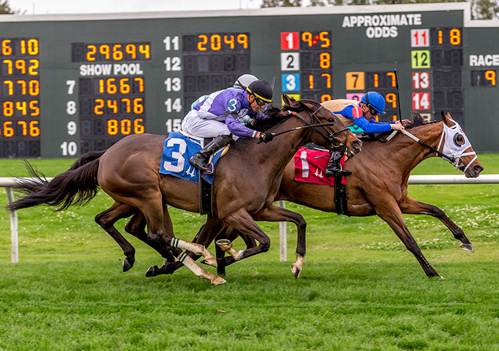 Quebec wins the 2020 Marie G. Krantz Memorial Stakes at Fair Grounds