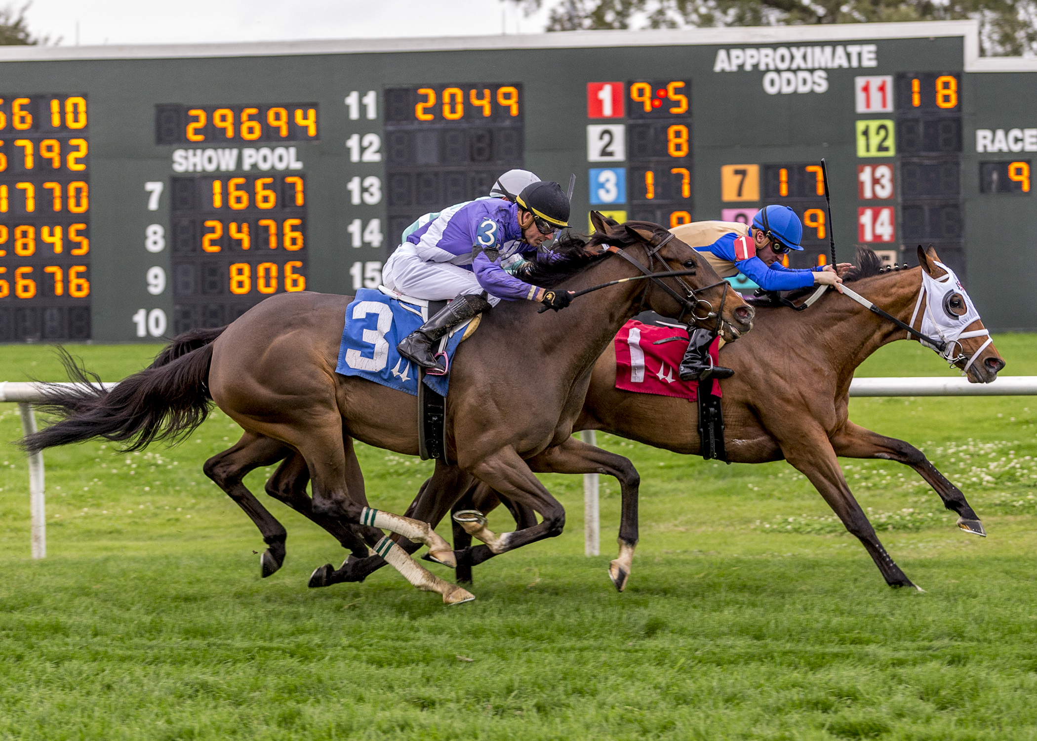 Quebec (inside) wins the 2020 Marie Krantz Memorial