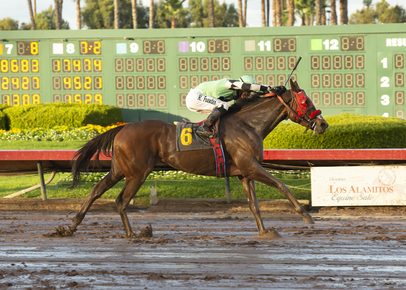 Queen Bee to You wins the 2019 Bayakoa Stakes