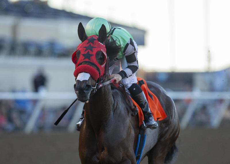 Queen Bee to You wins the Betty Grable Stakes