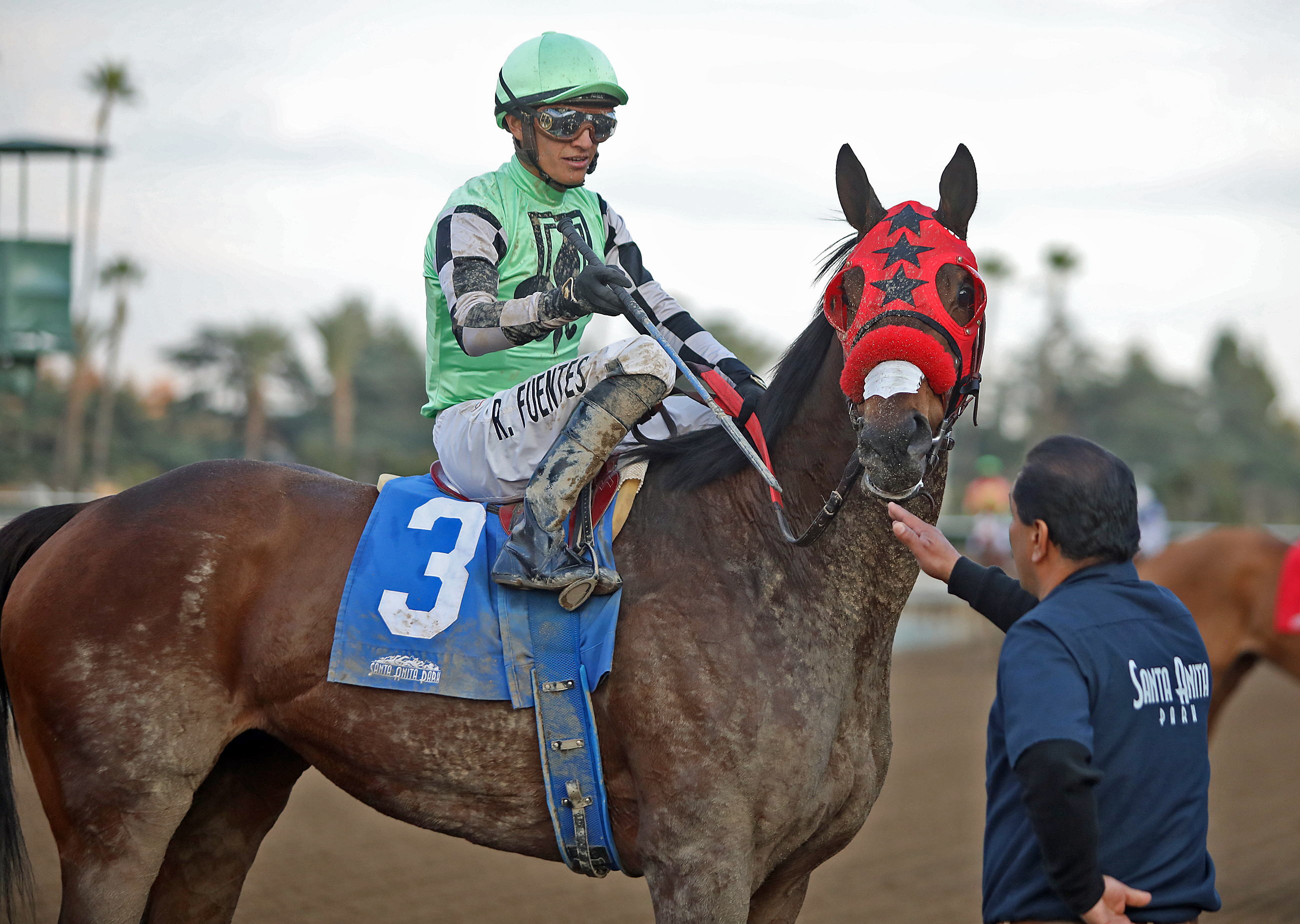 Queen Bee to You following victory in the 2020 La Canada