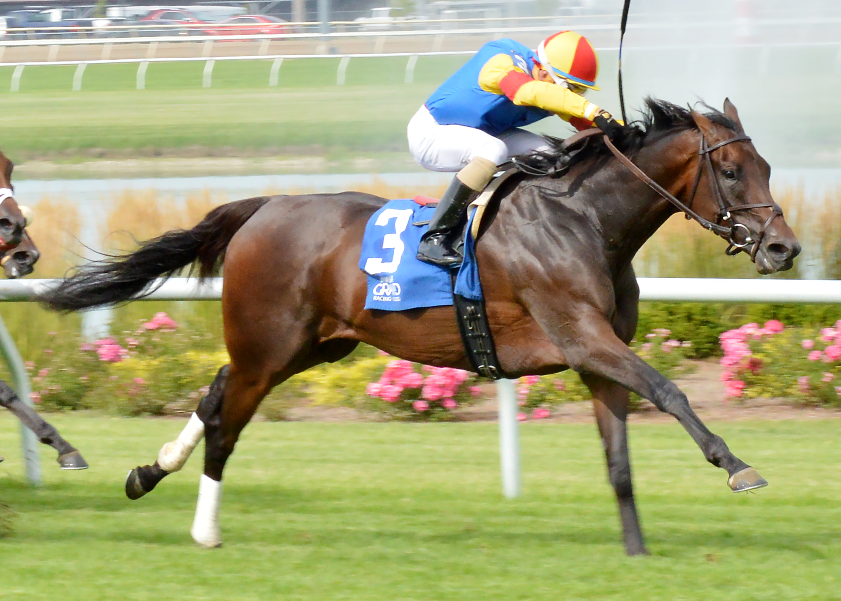 Queen Caroline wins the Ta Wee Stakes