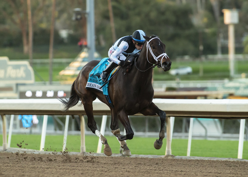 Queen Goddess - American Oaks 2021