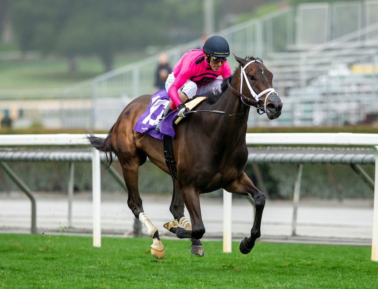 Queen Goddess wins the Robert Frankel Dec 31 2022 at SA