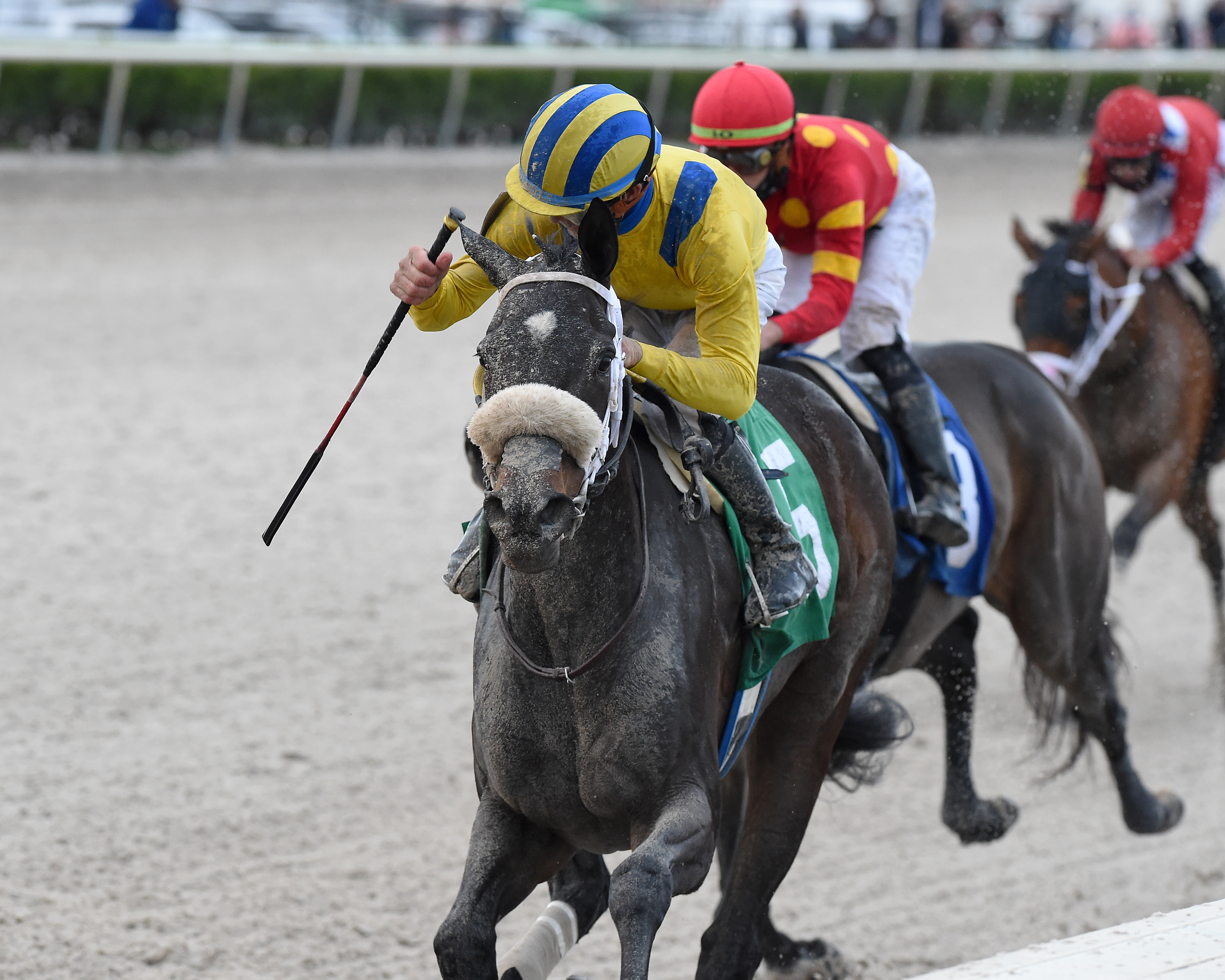 Queen Nekia wins Royal Delta 2-20-2021