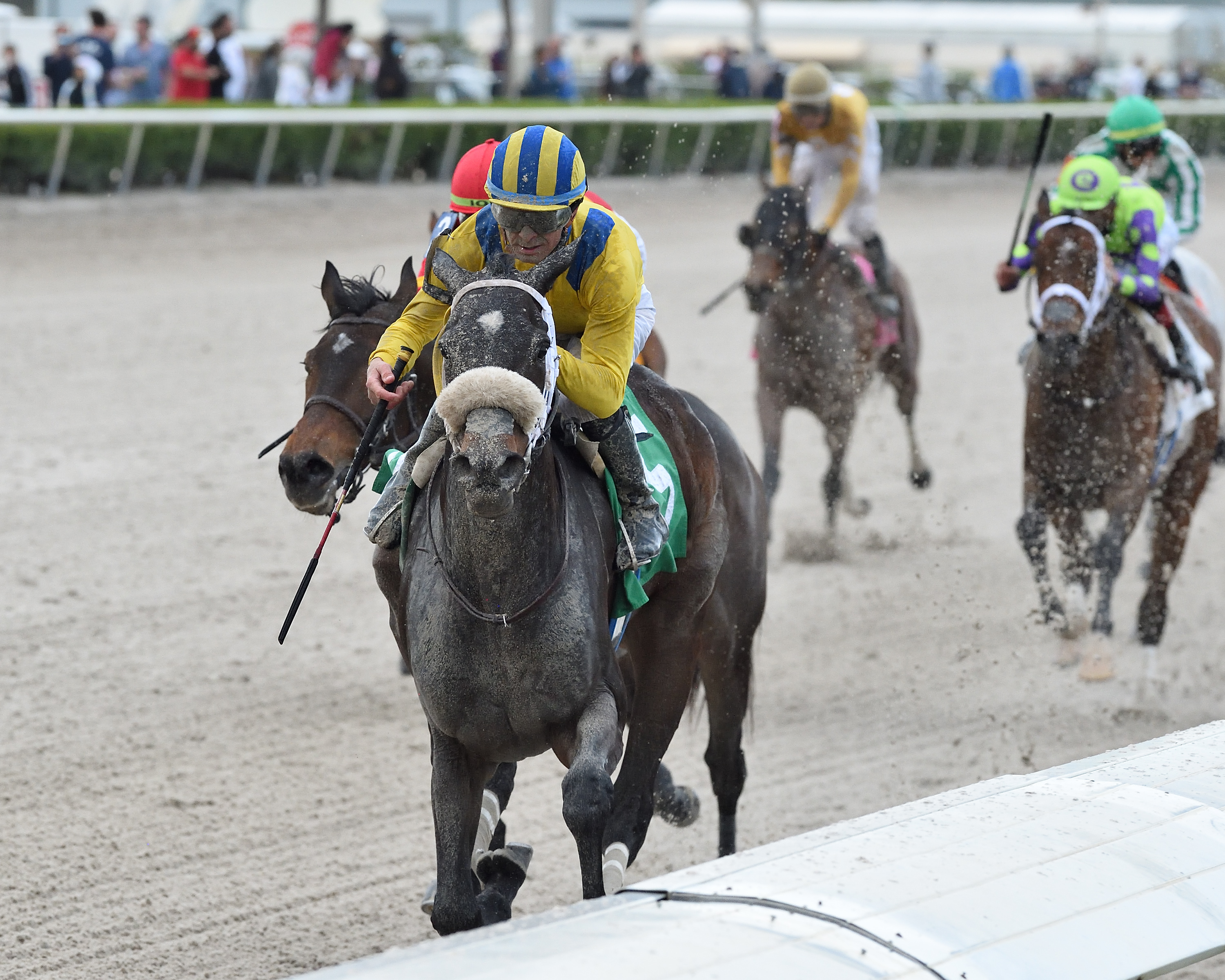 Queen Nekia - Royal Delta S.