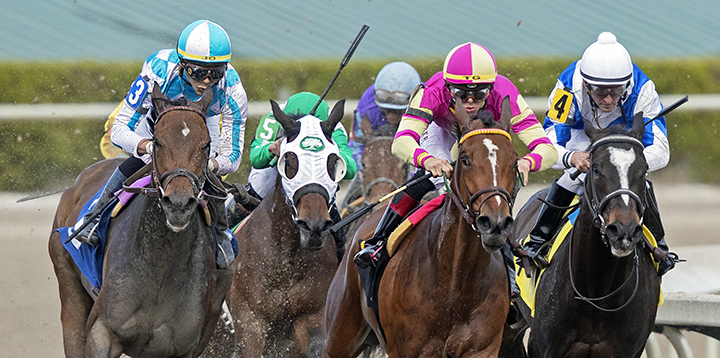 Queen of Beas wins a Jan. 31 allowance race