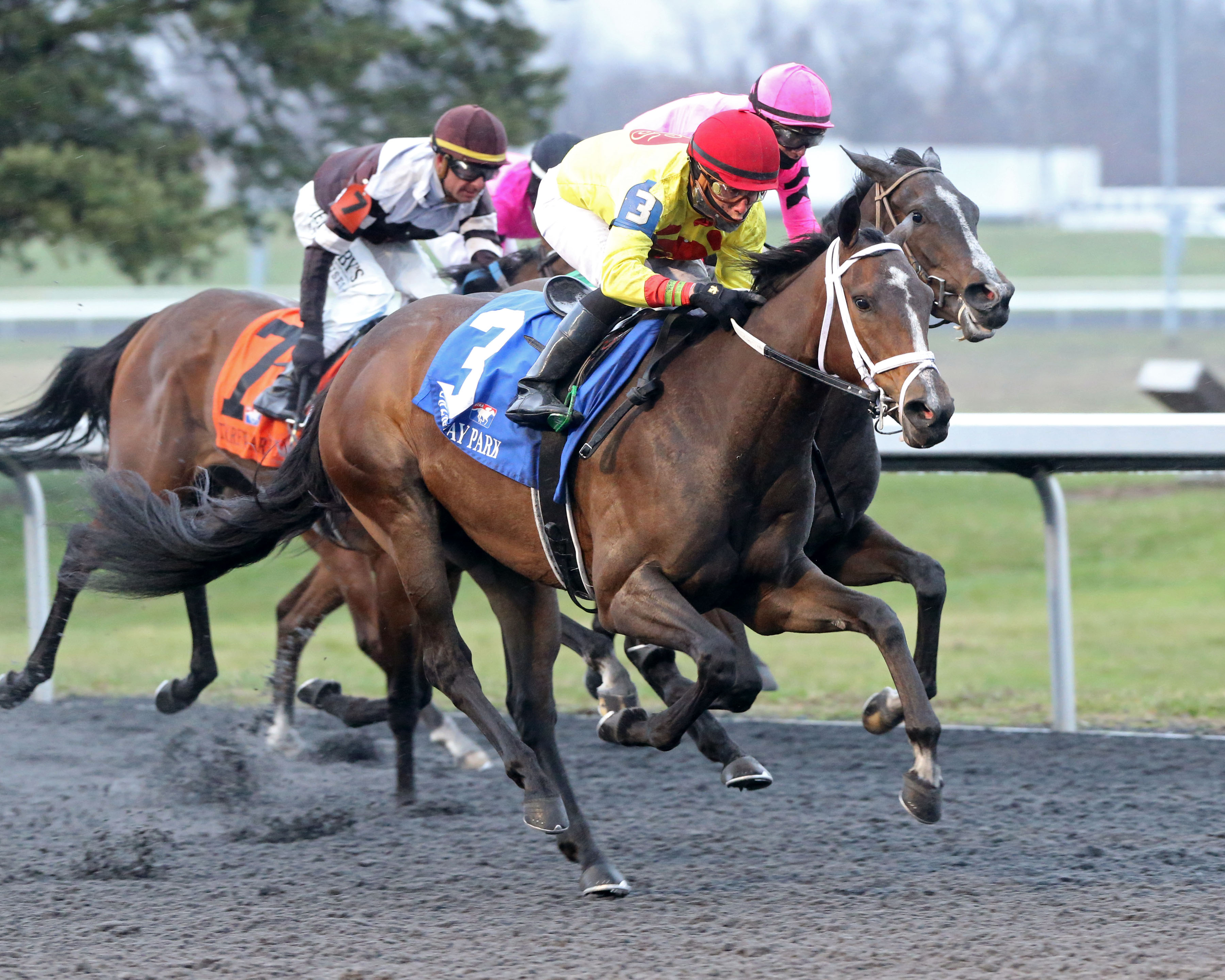 Queen of God wins the Bourbonette under Irad Ortiz Jr.