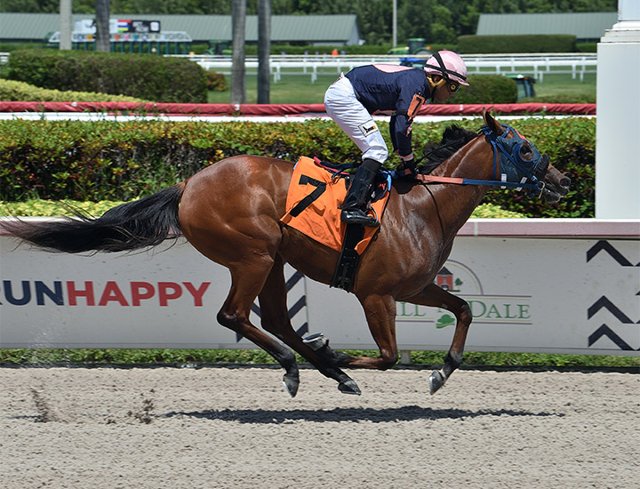 Queen Arella wins a May 29 maiden race at Gulfstream Park