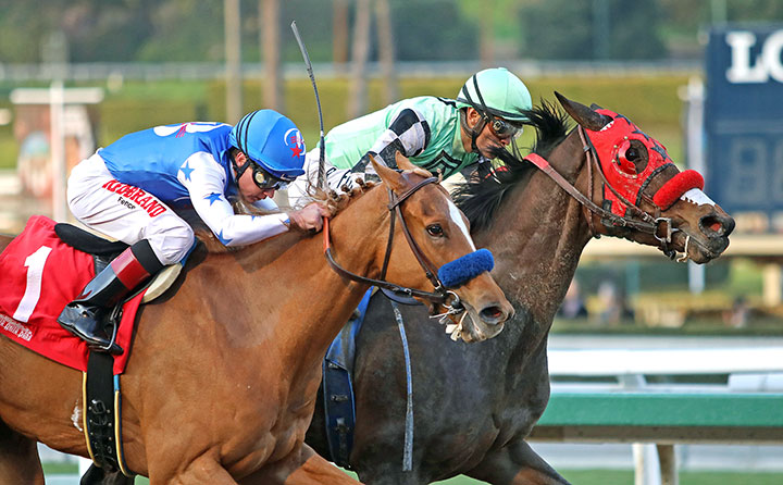 Queen Bee to You (inside) wins the La Canada Stakes at Santa Anita Park