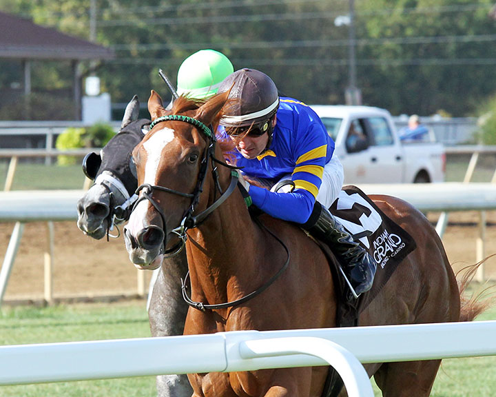 Queen Bridget wins an October 2019 maiden race at Indiana Grand