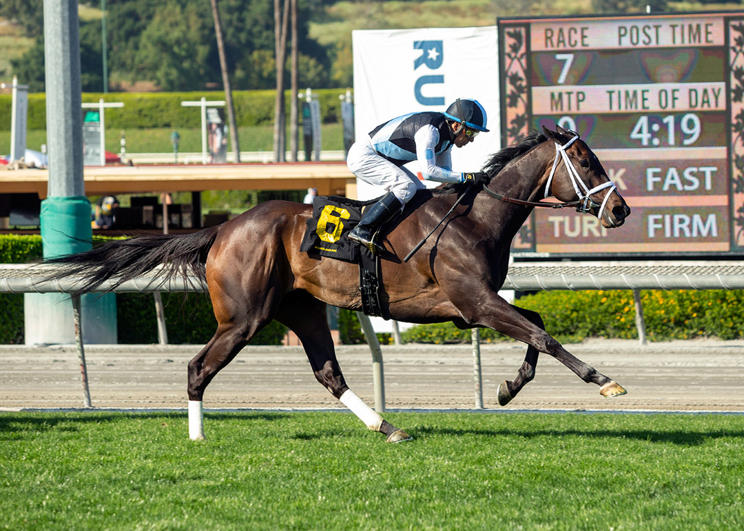 Queen Goddess wins the 2022 Santa Ana Stakes at Santa Anita