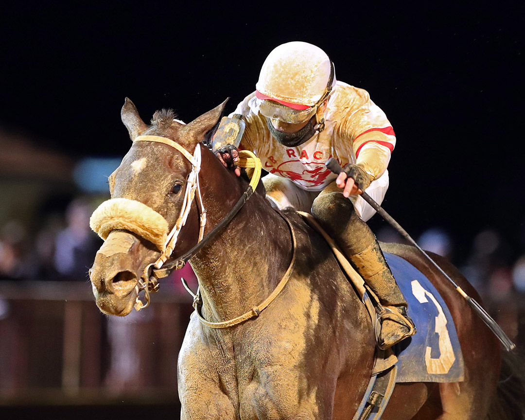 Queen Nekia wins the 2020 Dance To Bristol Stakes at Charles Town
