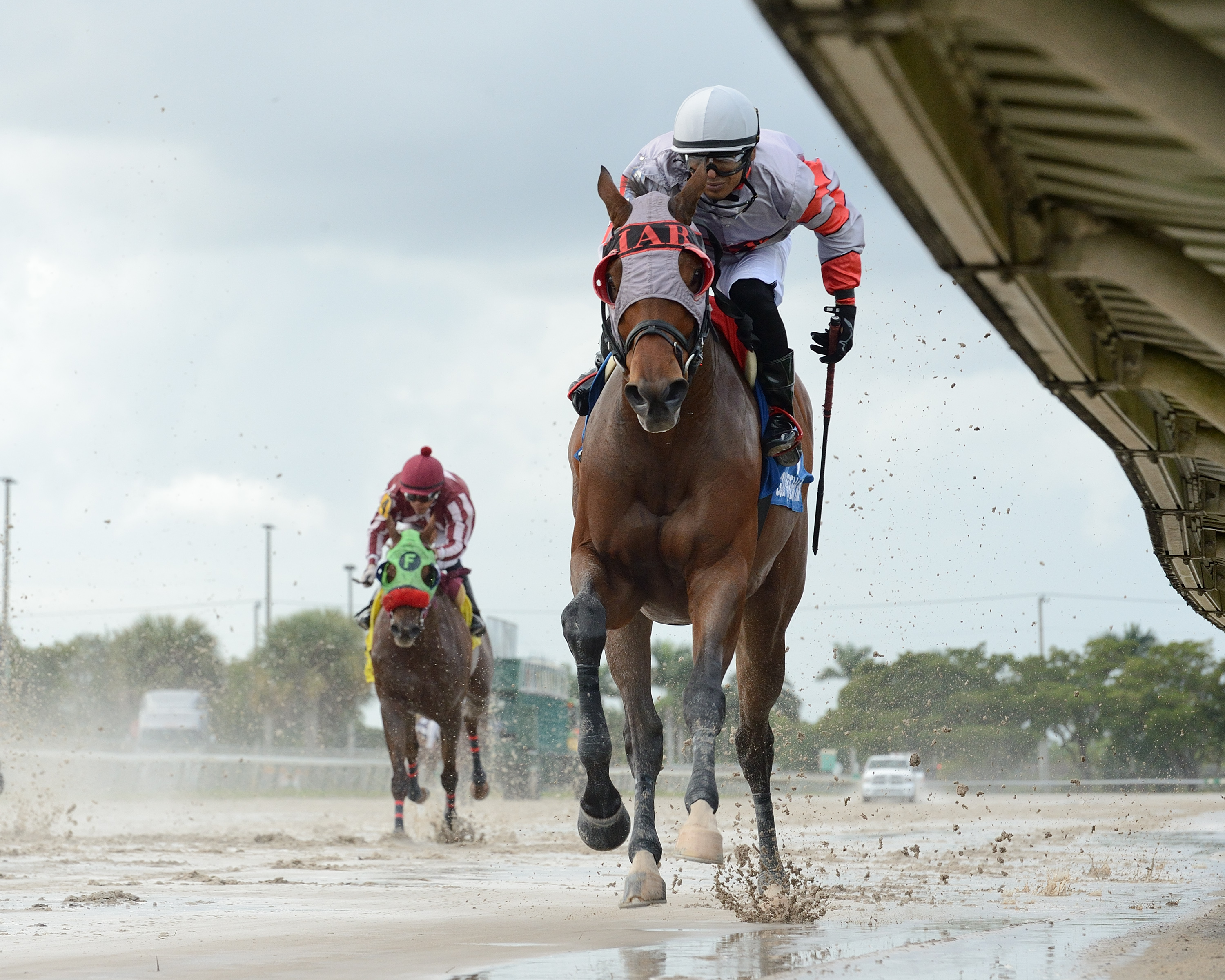 Quenane wins Sunshine Classic Millions 11-14-2020