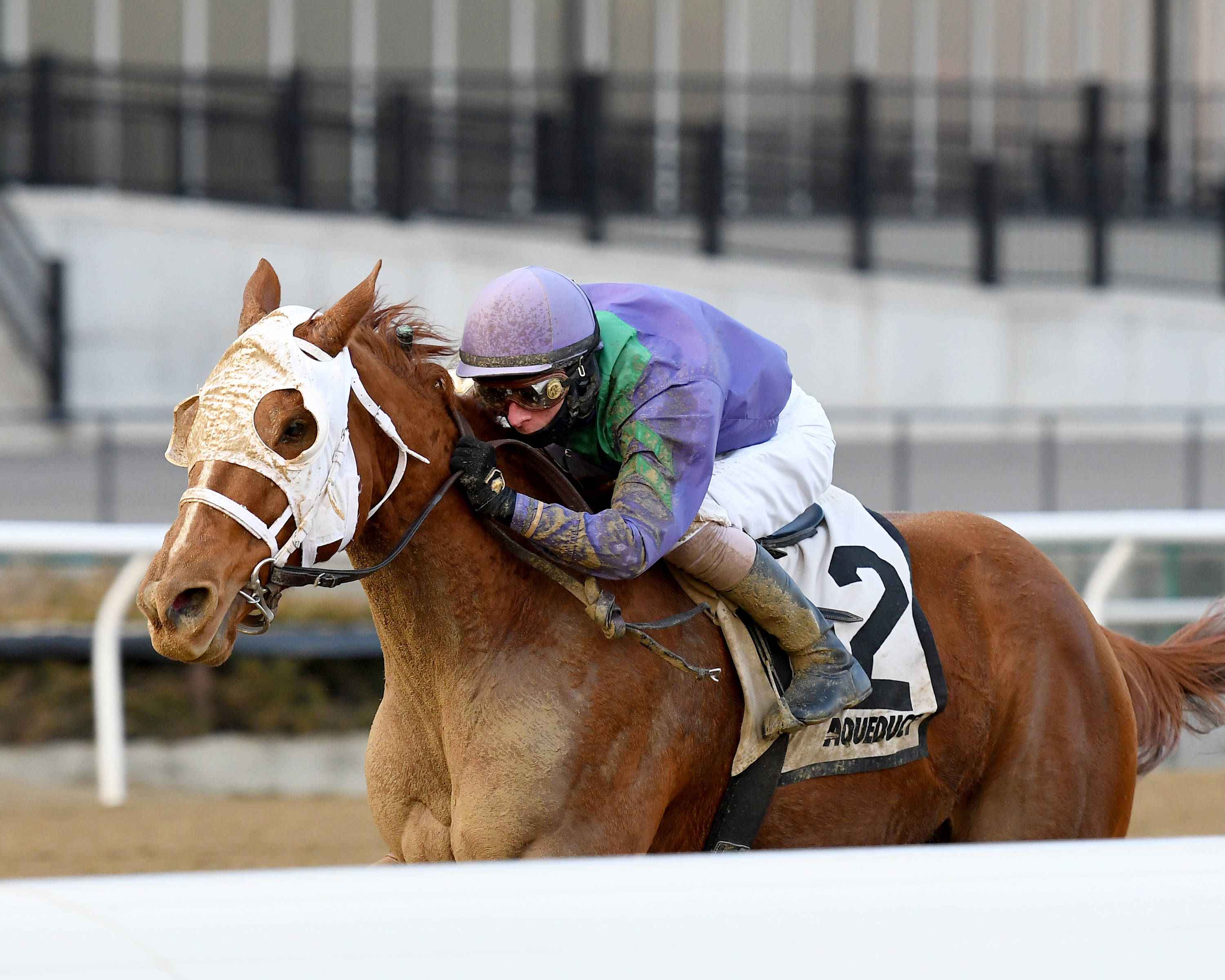 Quezon wins the 2018 La Verdad