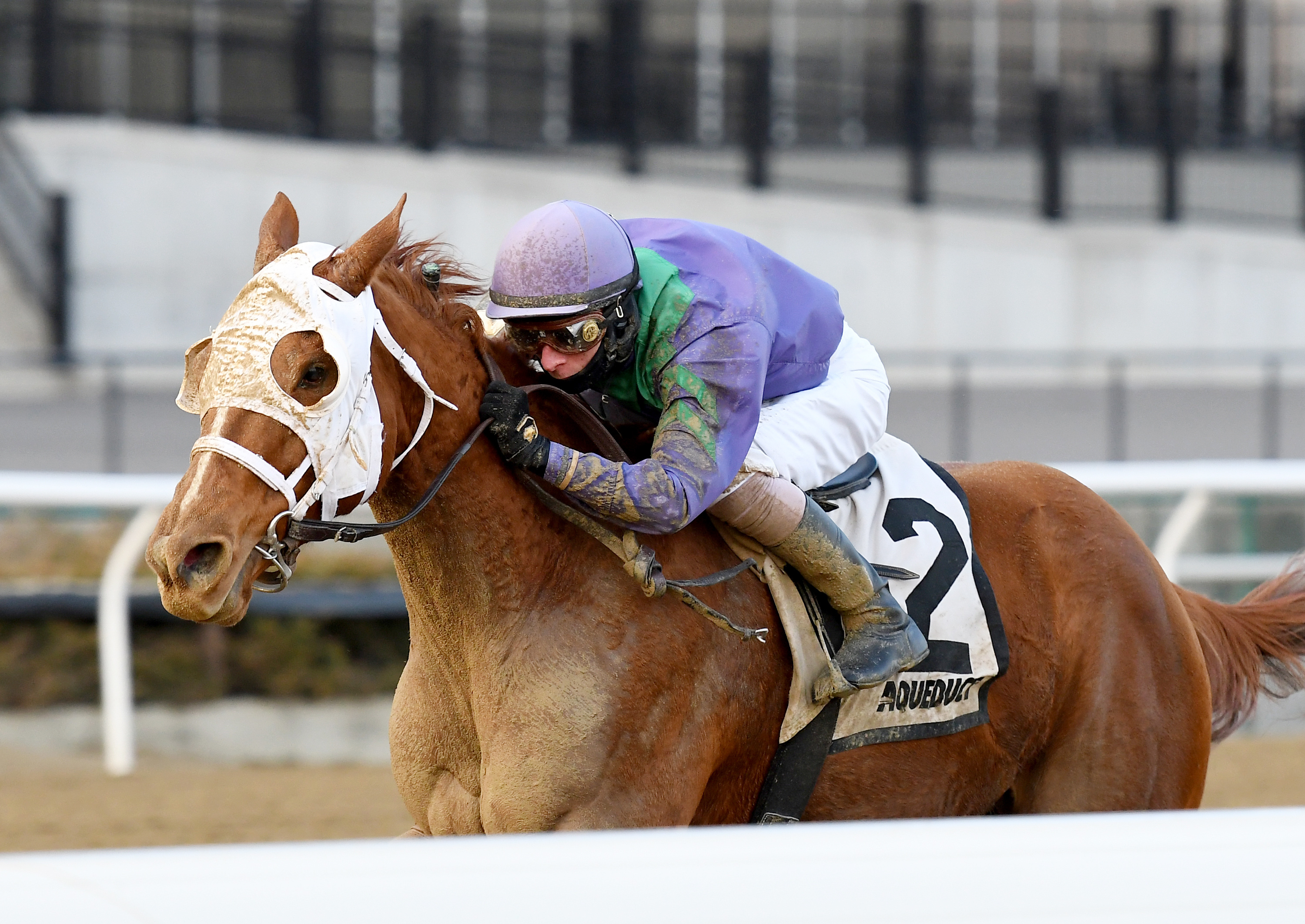 Quezon wins the 2018 La Verdad