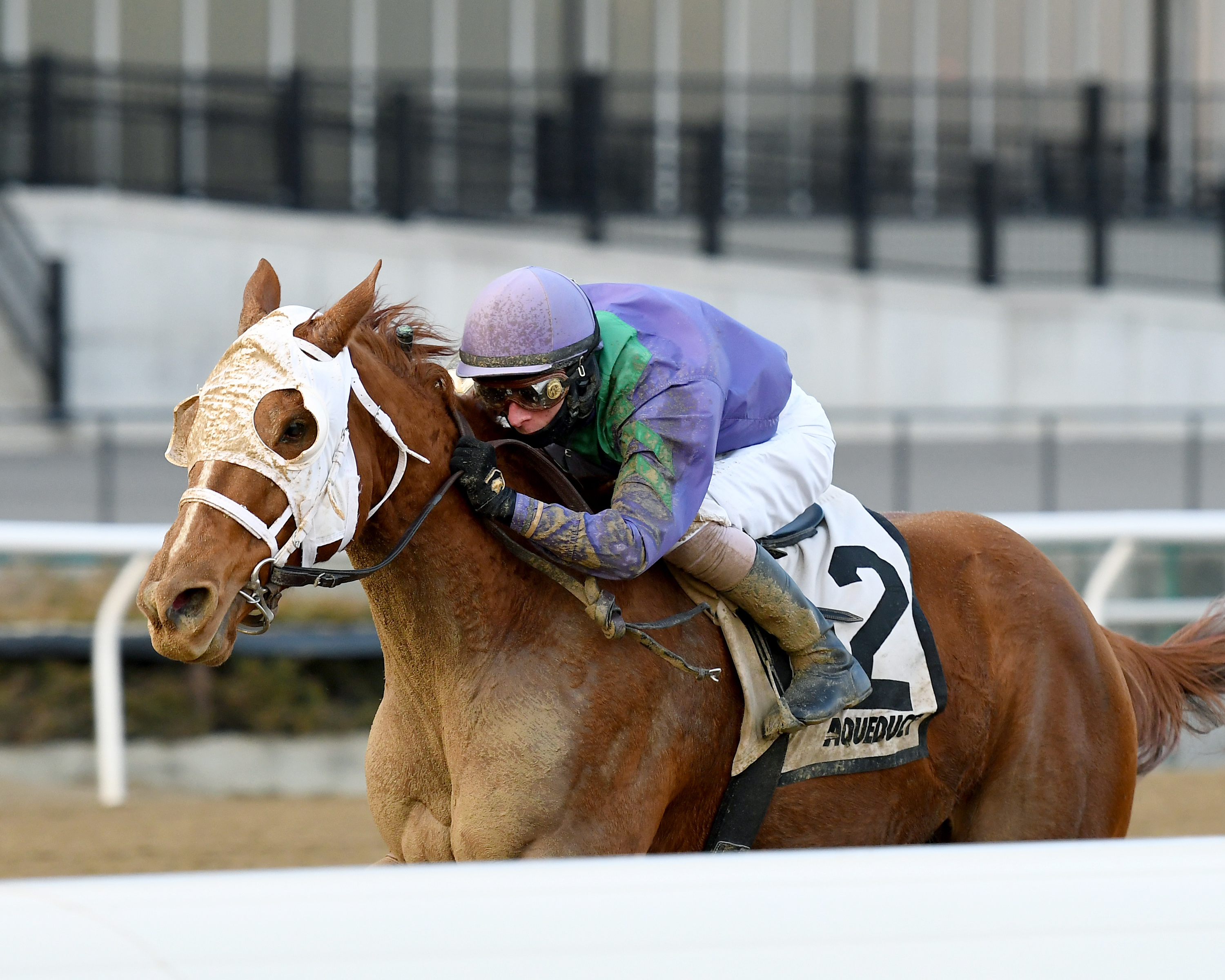 Quezon wins the 2018 La Verdad