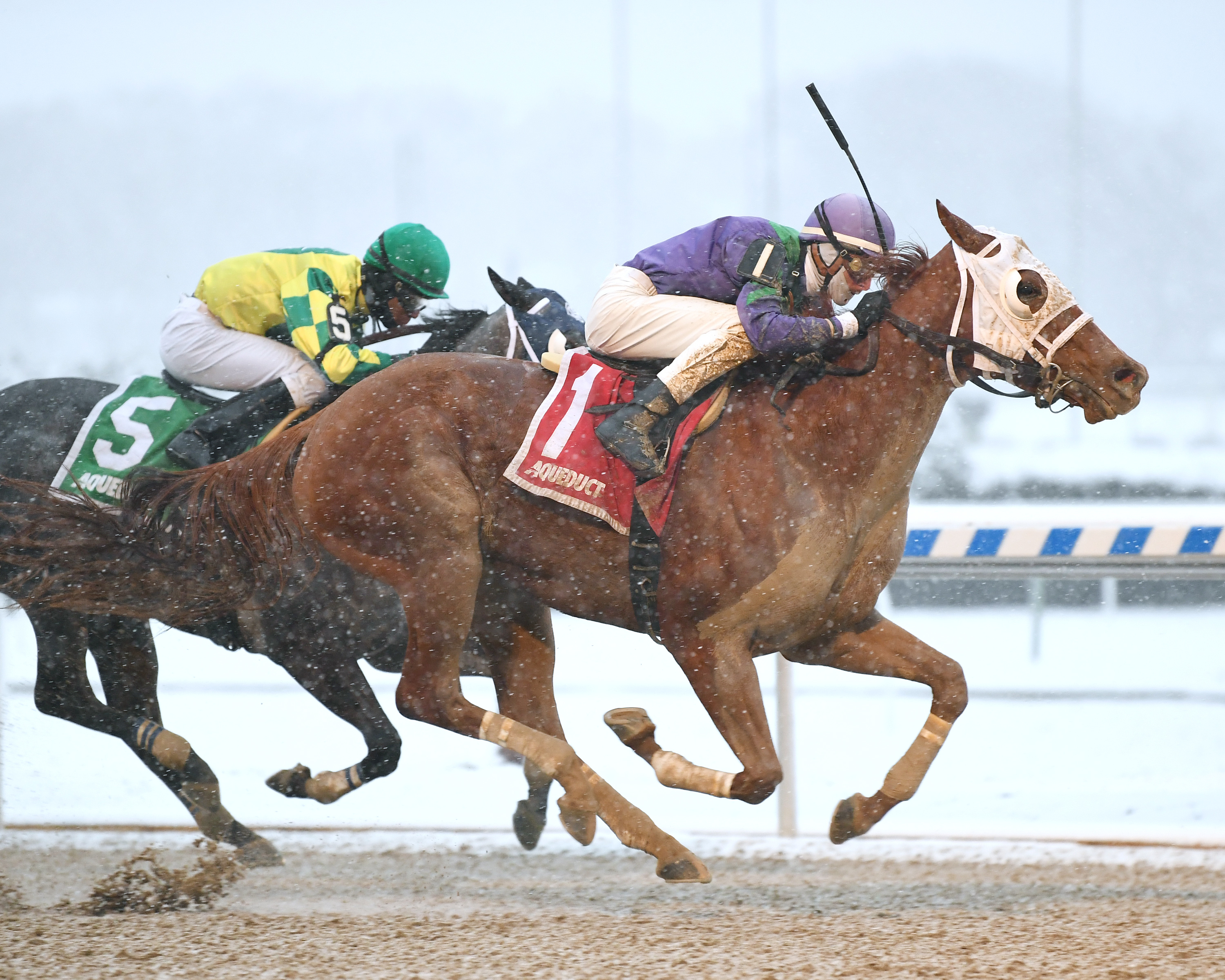 Quezon wins the Garland of Roses Stakes