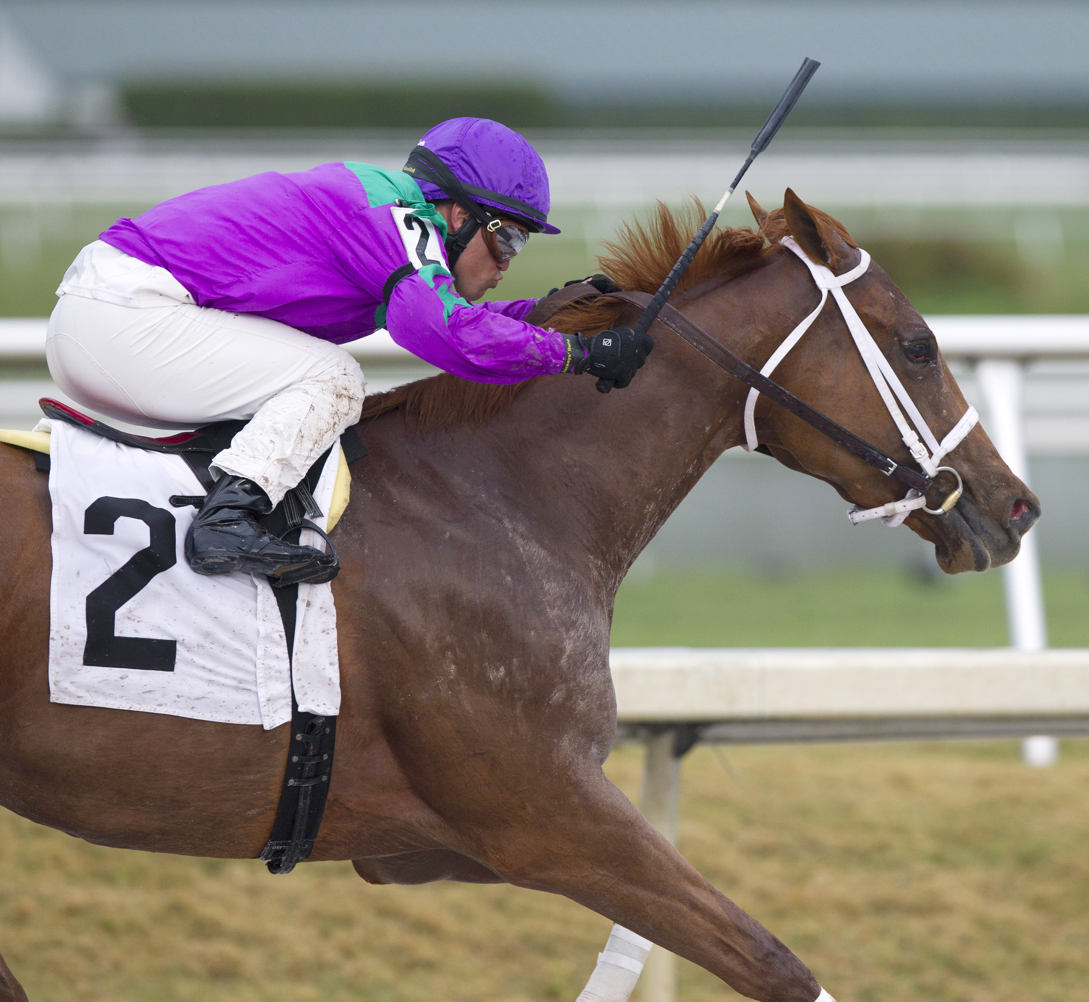 Quezon wins an allowance optional claimer on March 25