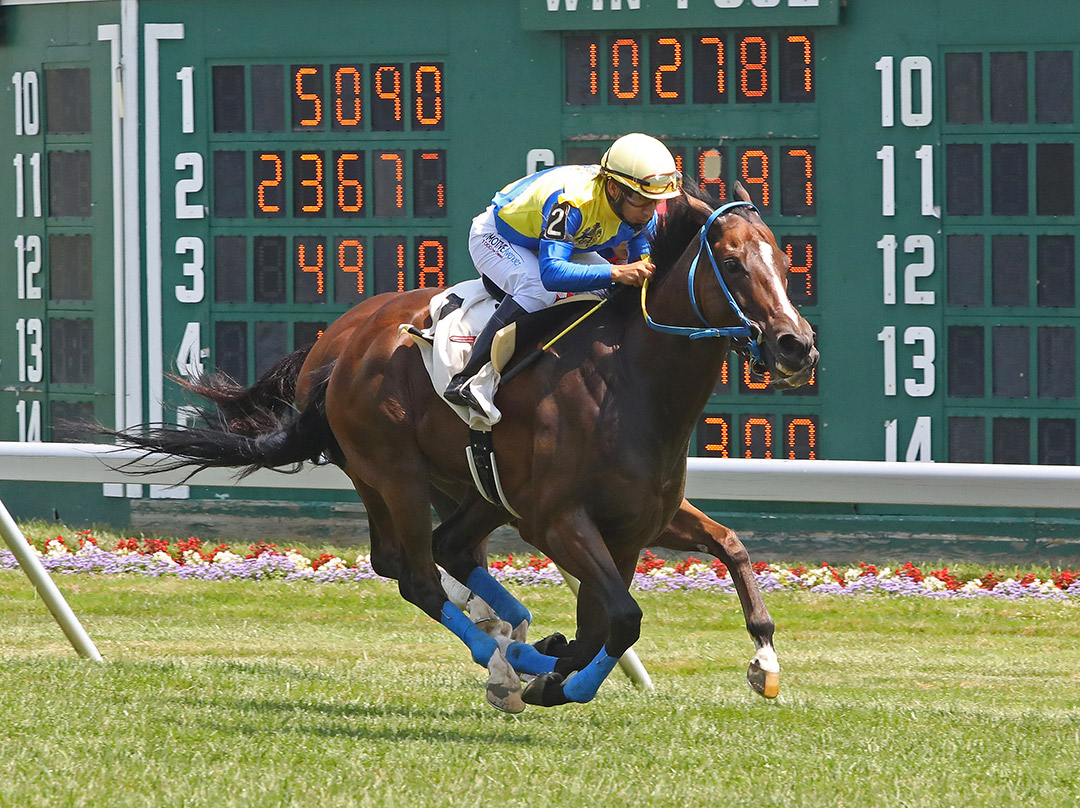 Quiberon Bay wins a July 17 allowance at Monmouth Park
