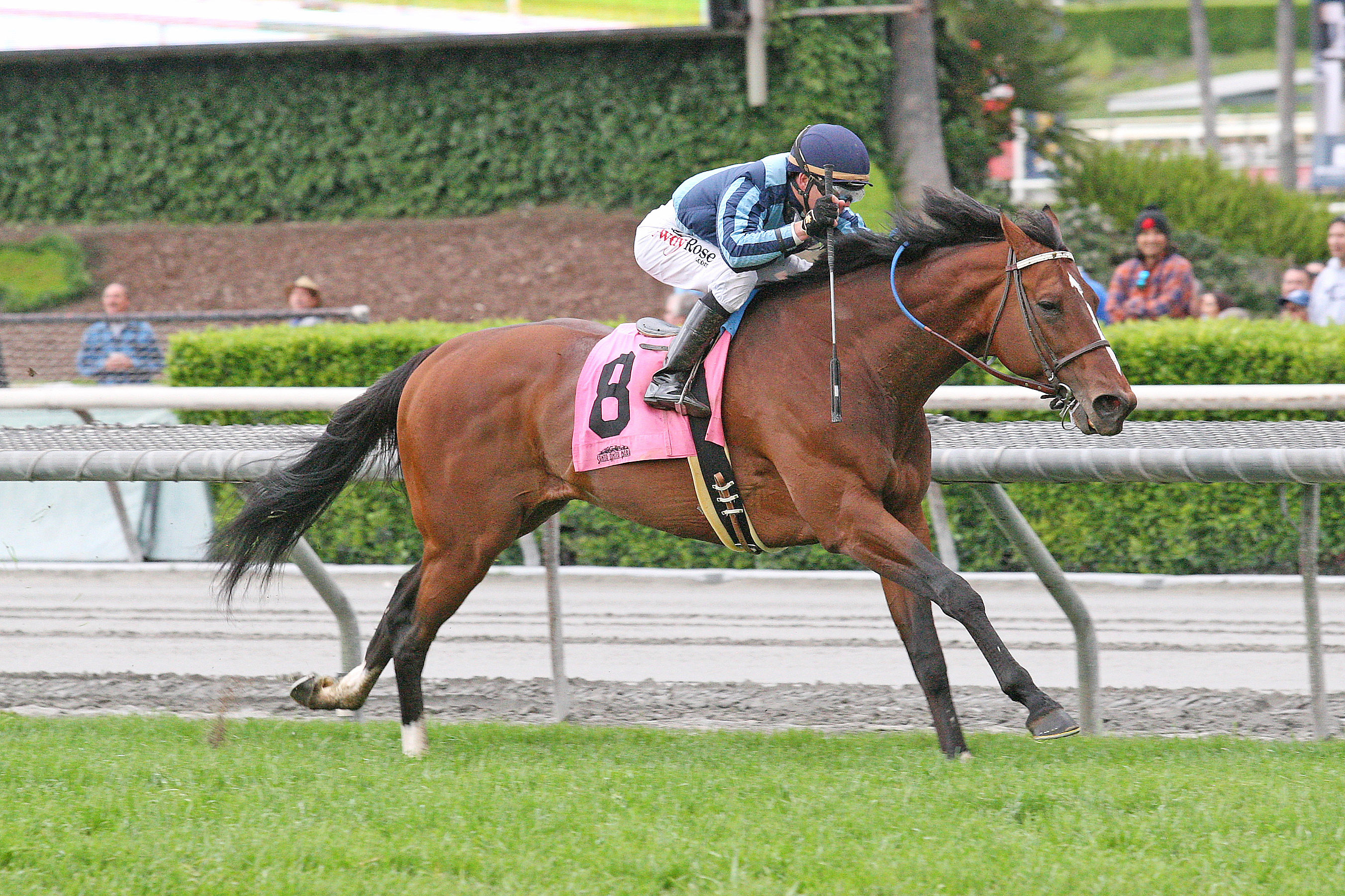 Quick Casablanca wins the San Juan Capistrano