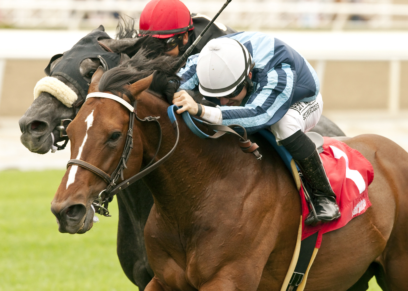 Quick Casablanca wins the Last Tycoon Stakes