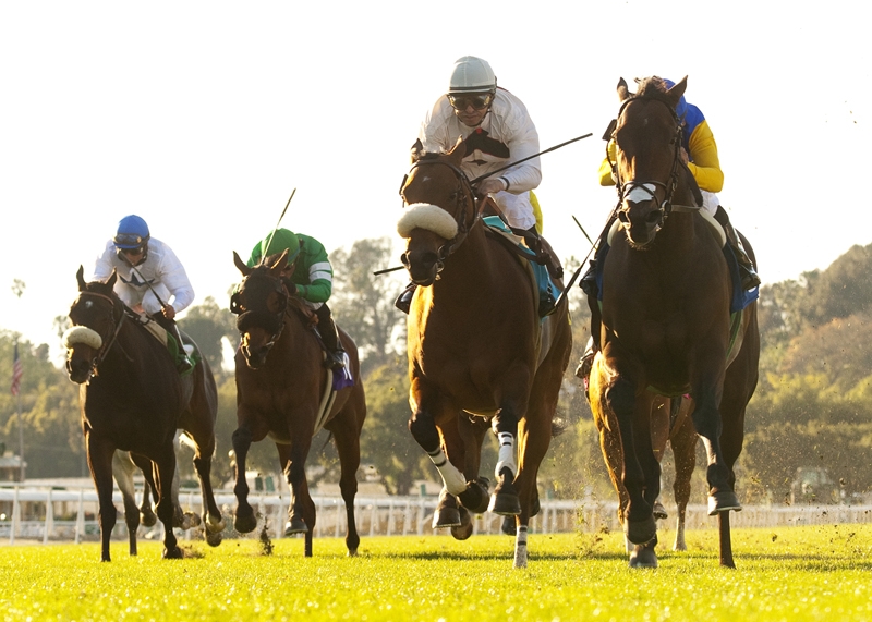 Quick Enough wins Sensational Star