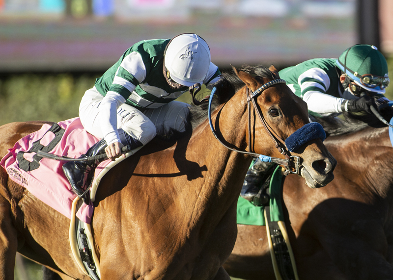 Quick wins Astra Stakes 1-17-2021