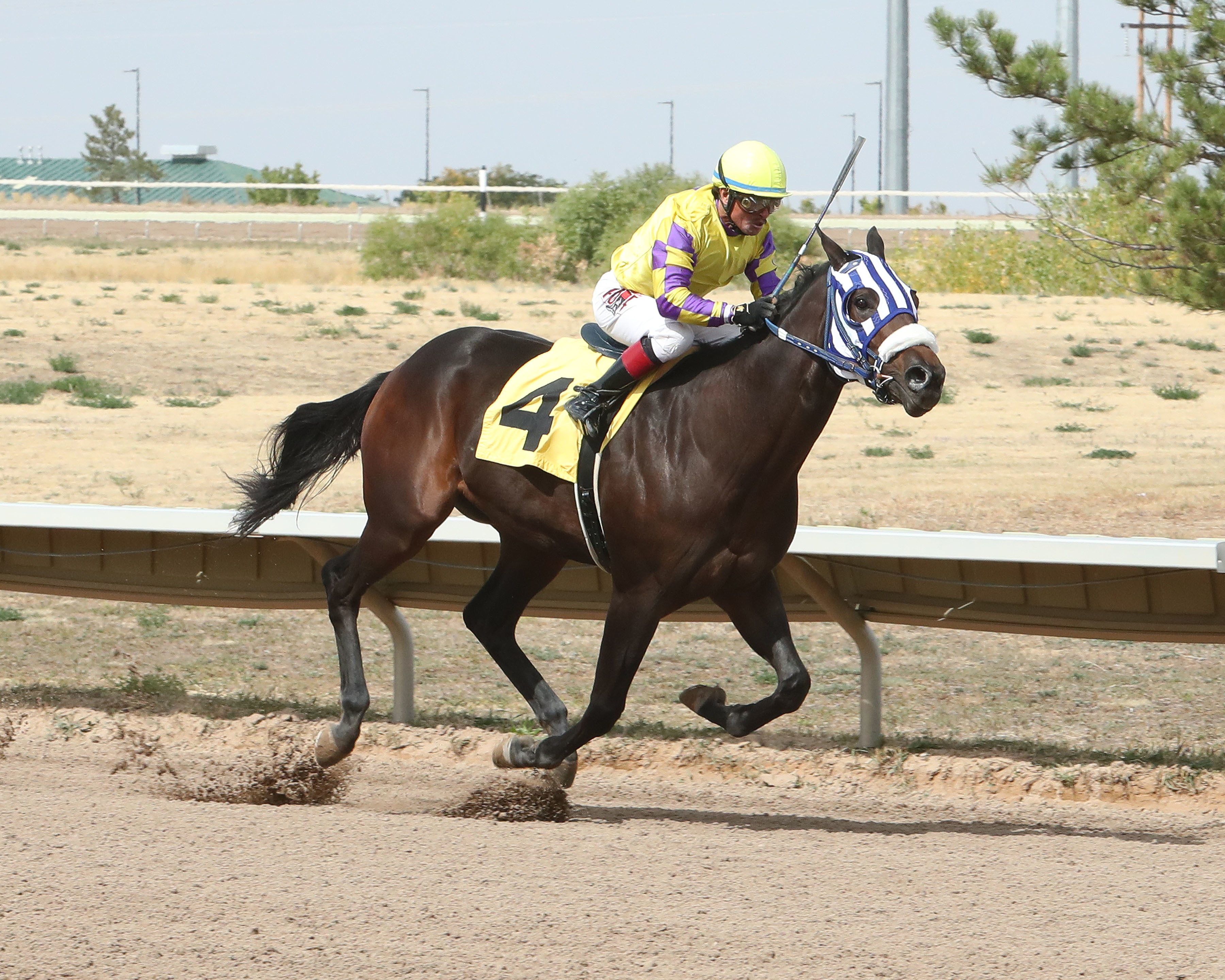 Quicktrip Van wins the CTBA Laddie at Arapahoe on Oct 1 2021