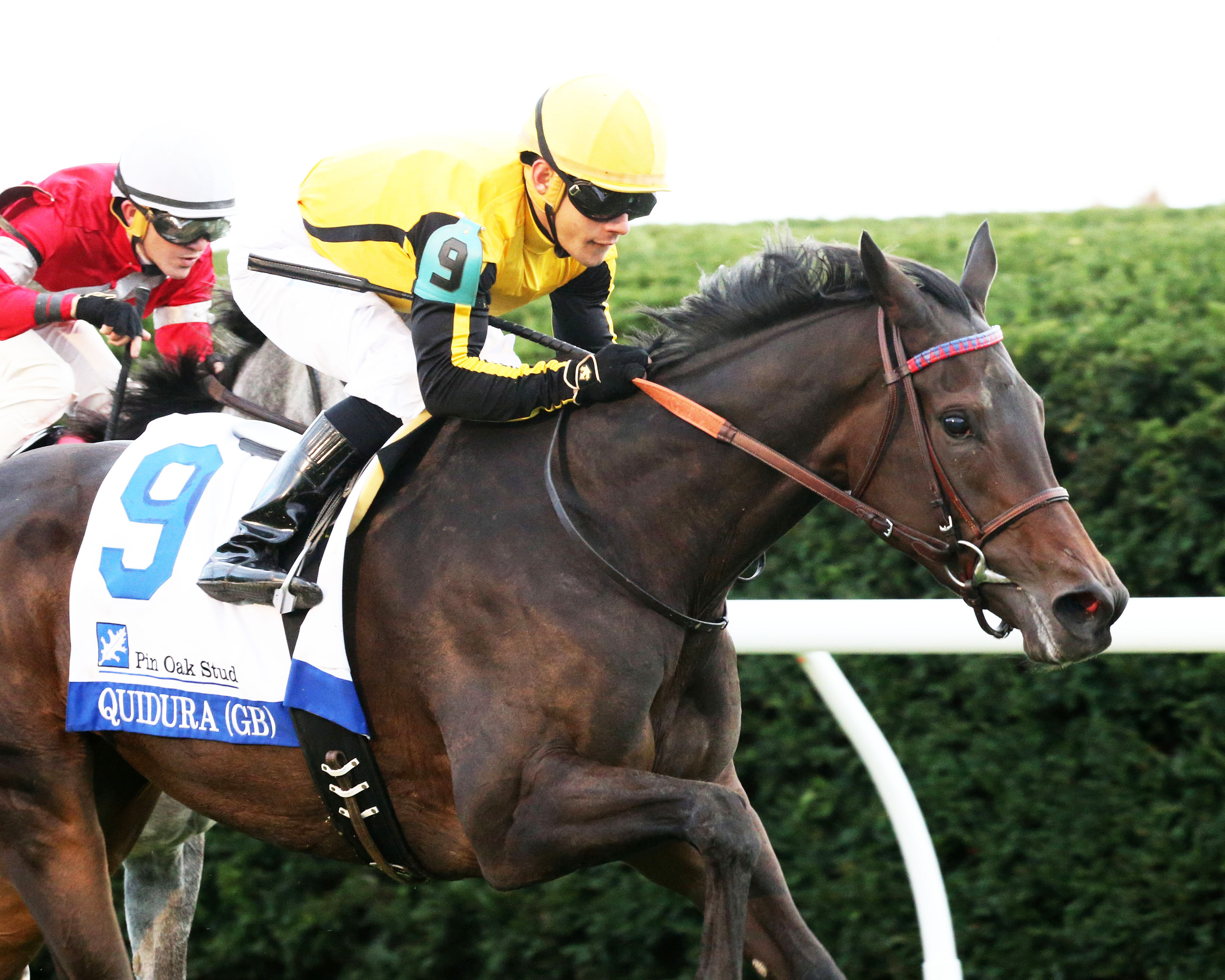 Quidura wins the 2016 Valley View Stakes