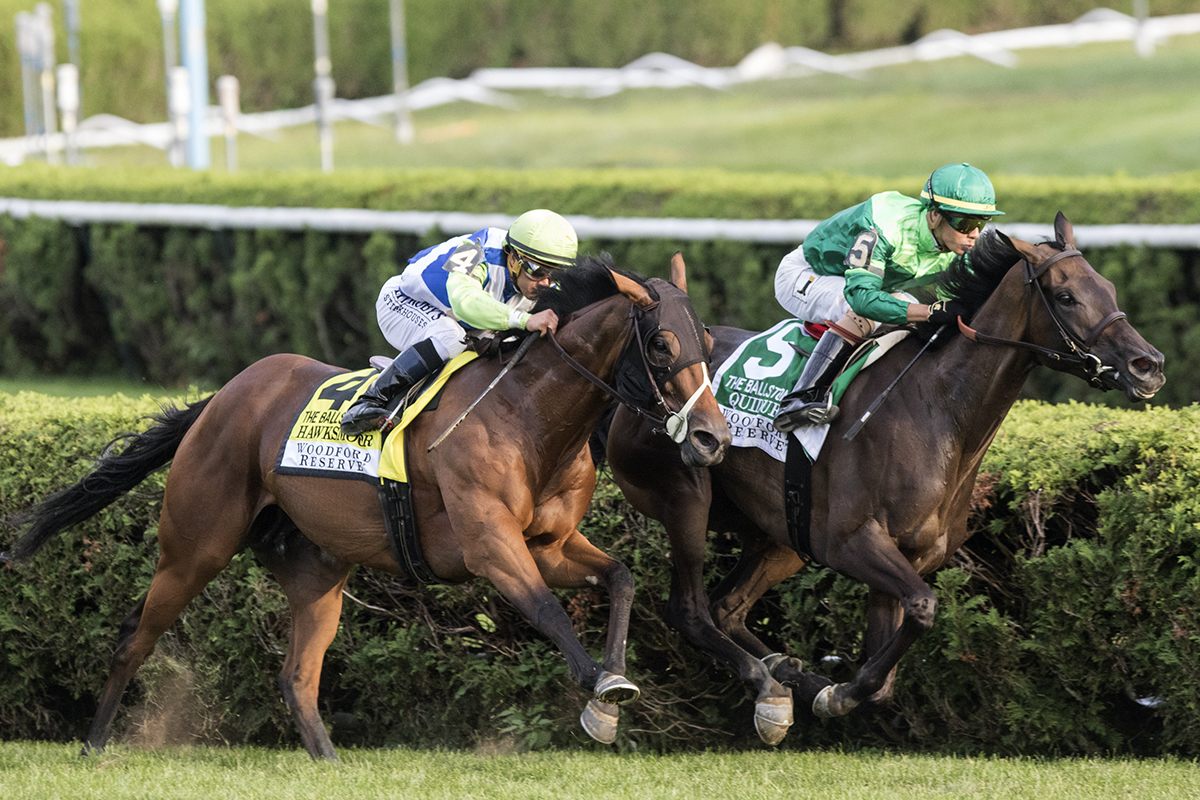 Quidura wins the 2018 Ballston Spa