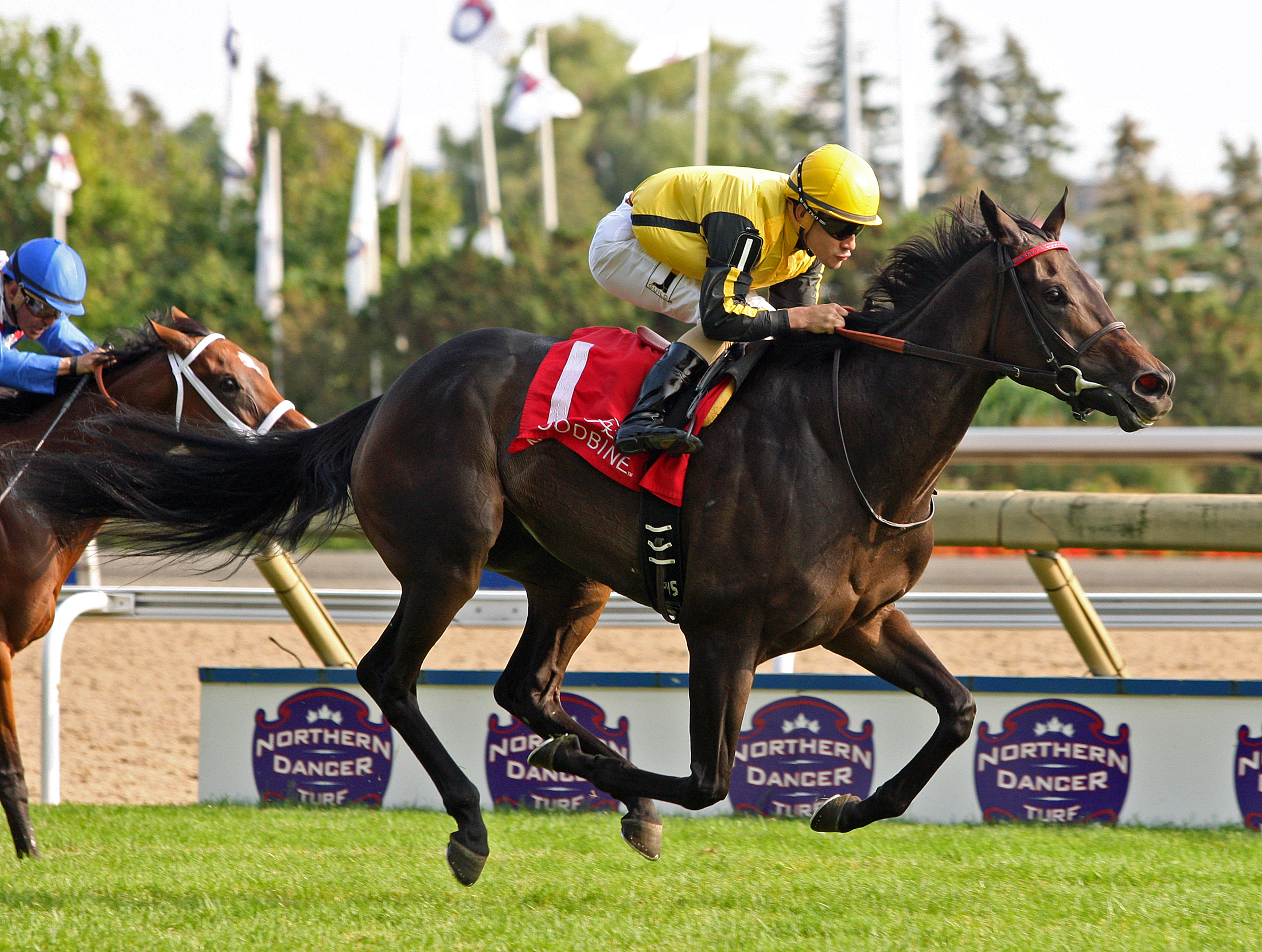 Quidura wins the 2017 Canadian Stakes at Woodbine