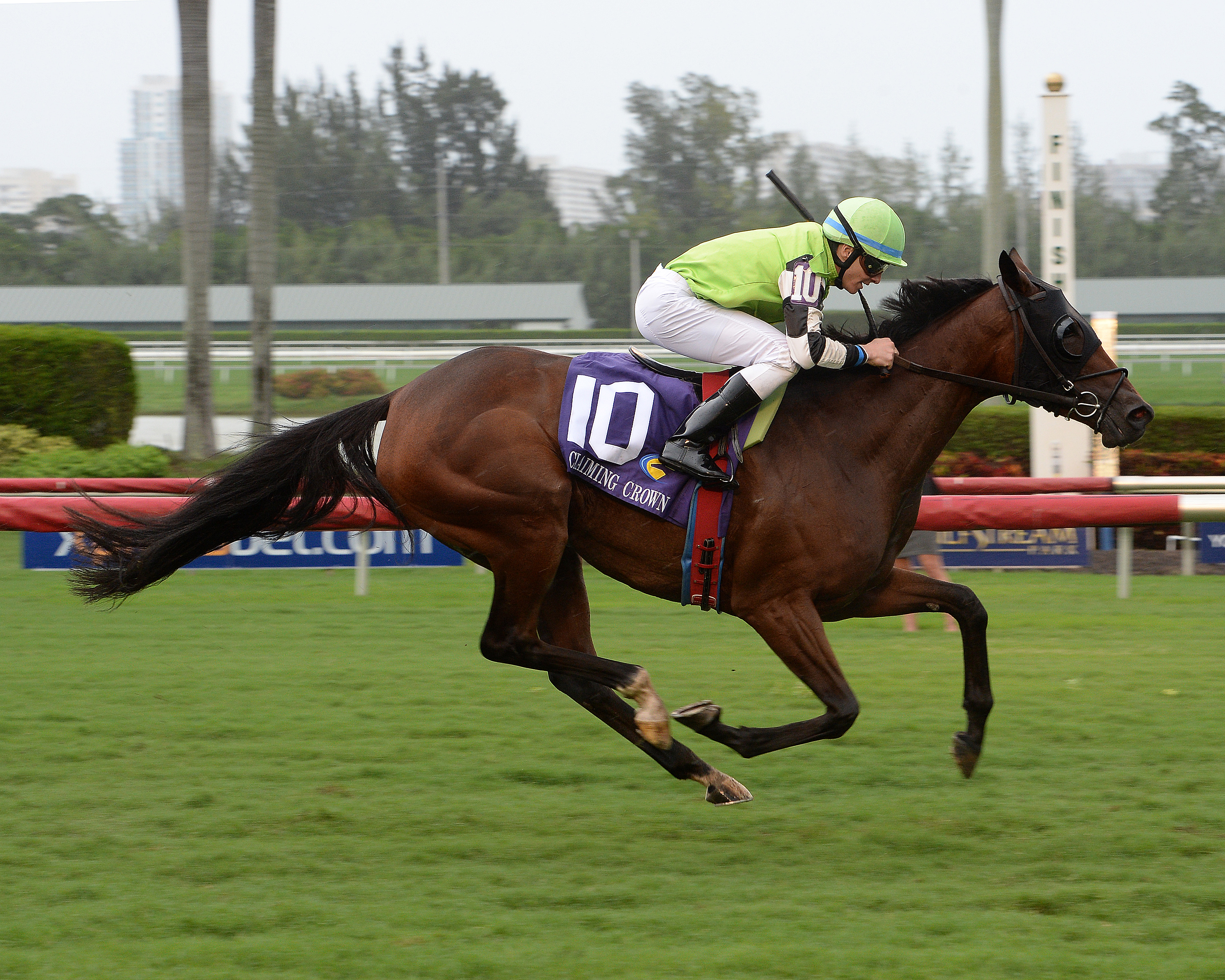 Quiet Kitten wins 2015 Claiming Crown Tiara