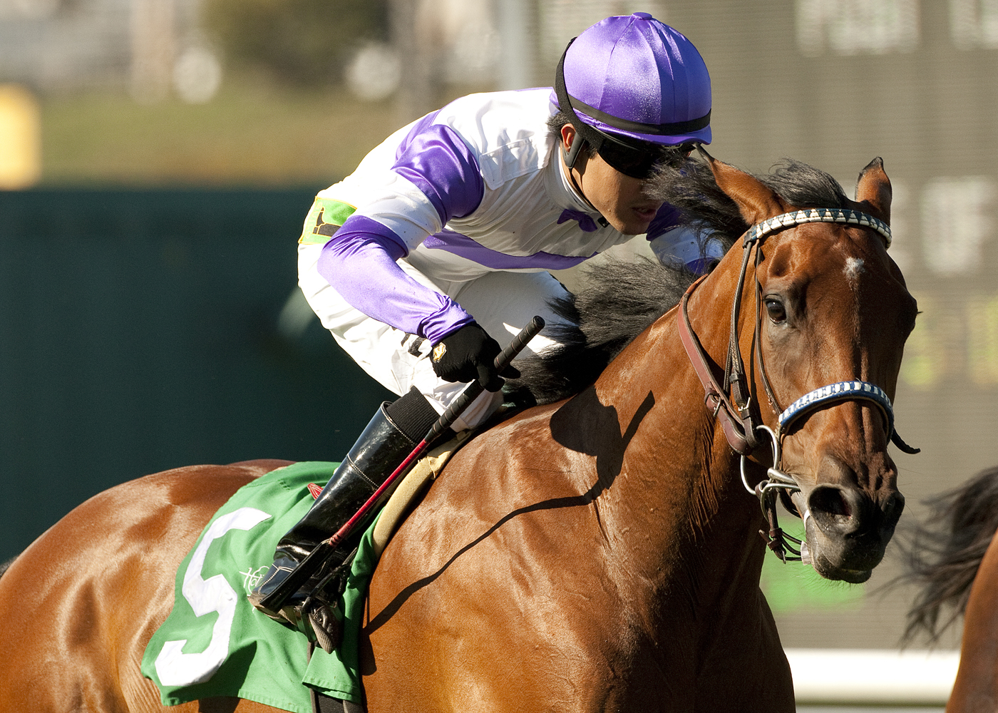 Quiet Oasis/Royal Heroine