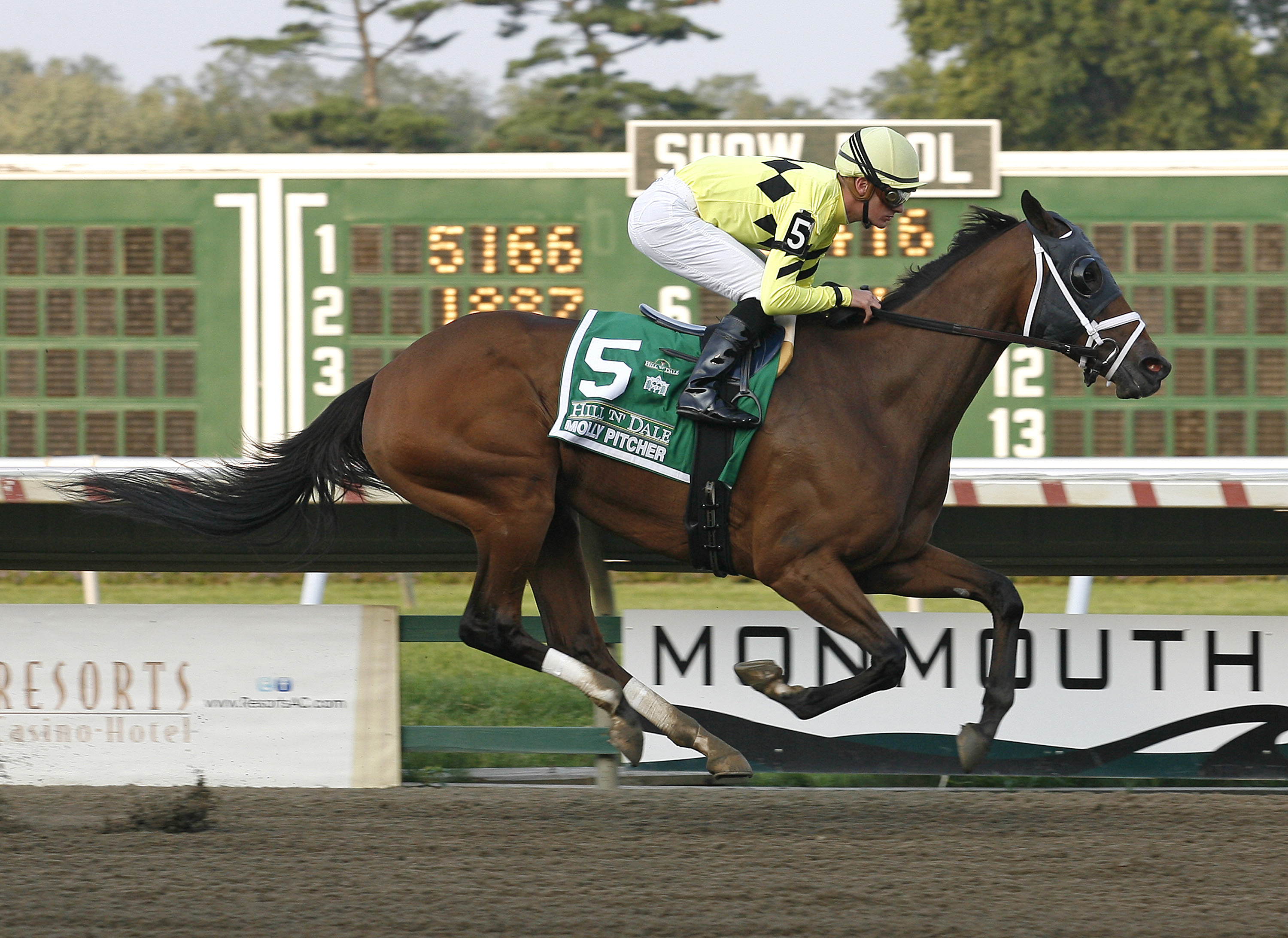 Quiet Giant/Molly Pitcher
