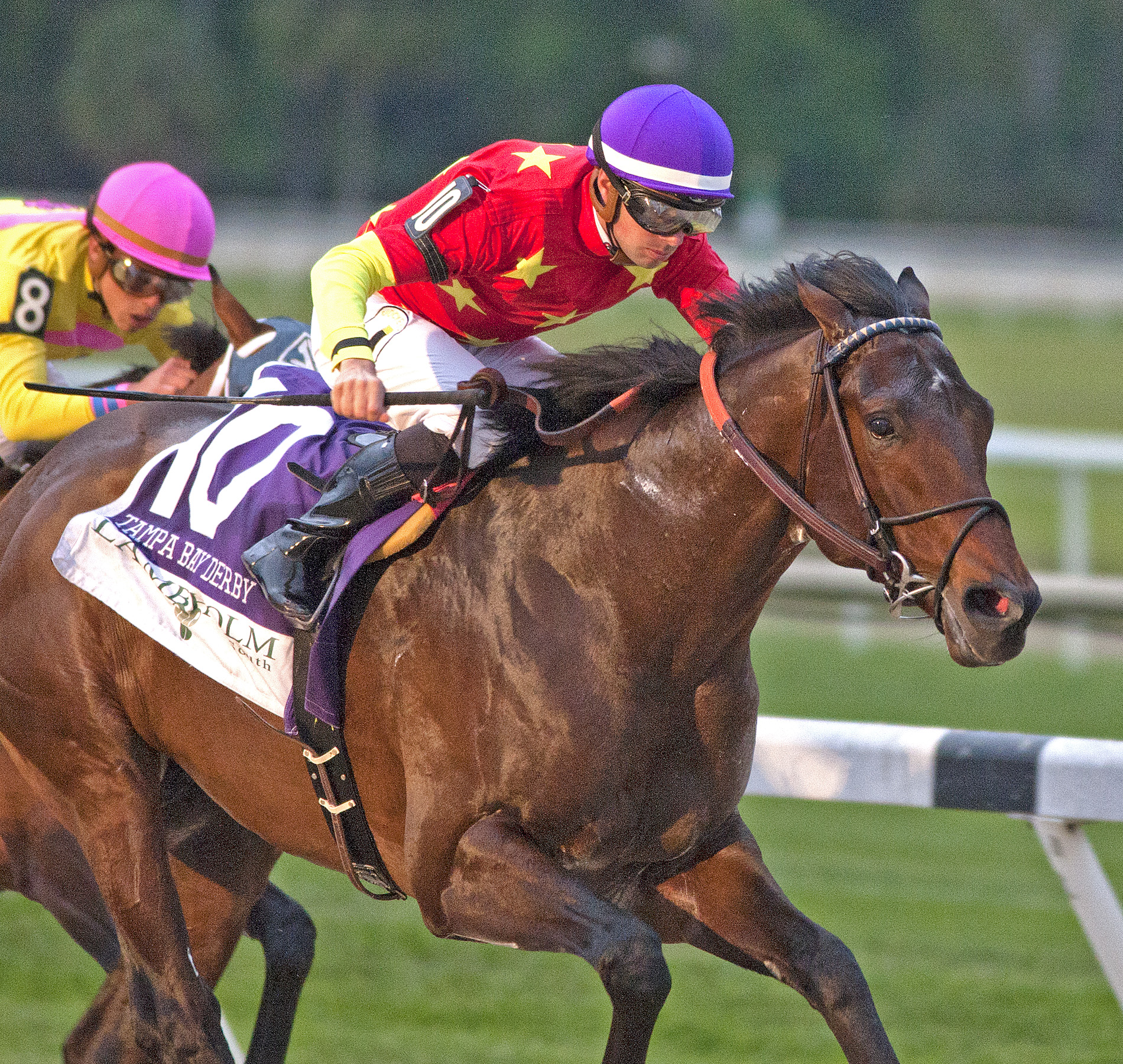 Quip wins the 2018 Tampa Bay Derby