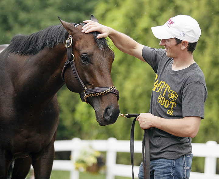 Quip with trainer Rodolphe Brisset