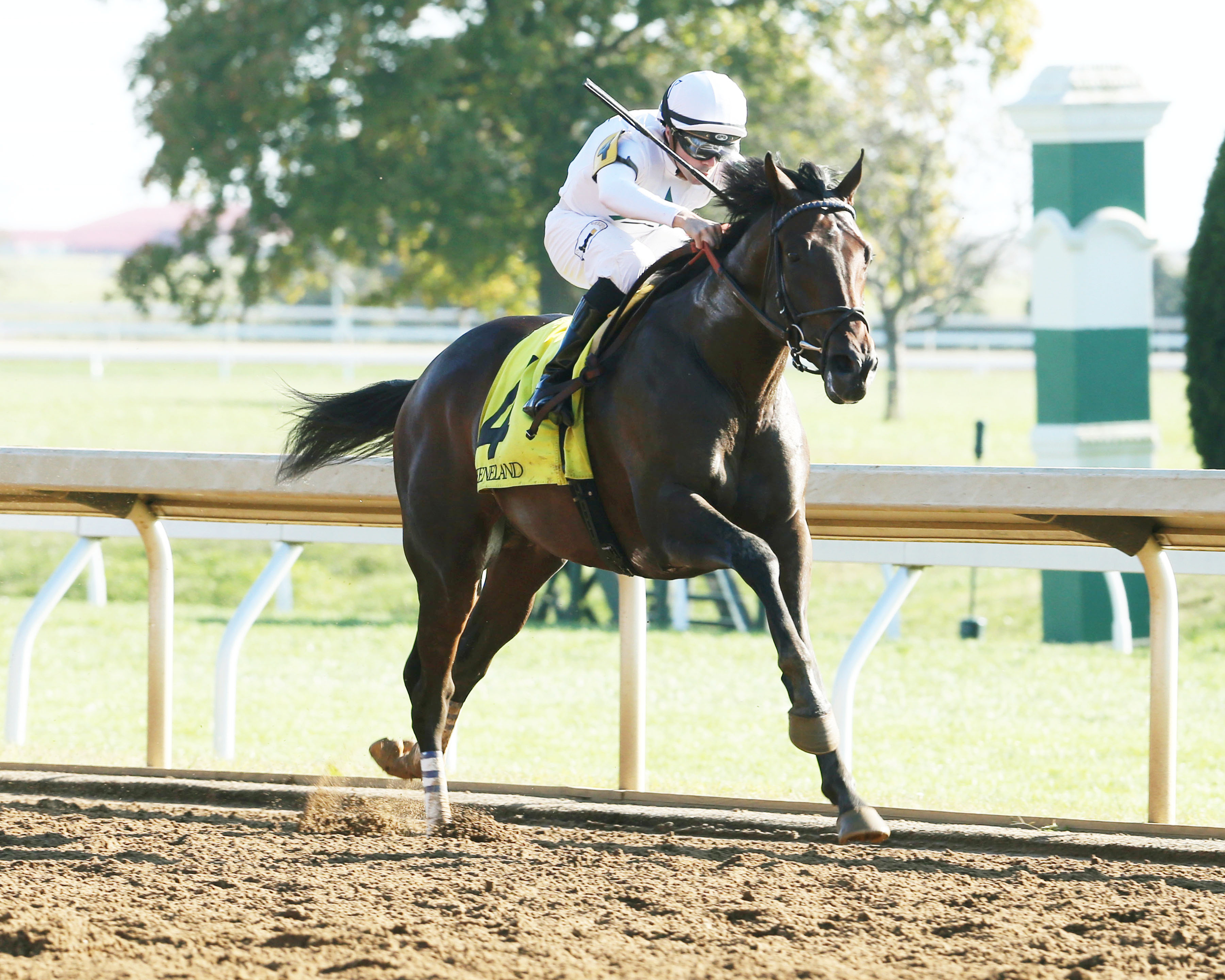 Quip wins an Oct. 19 allowance race