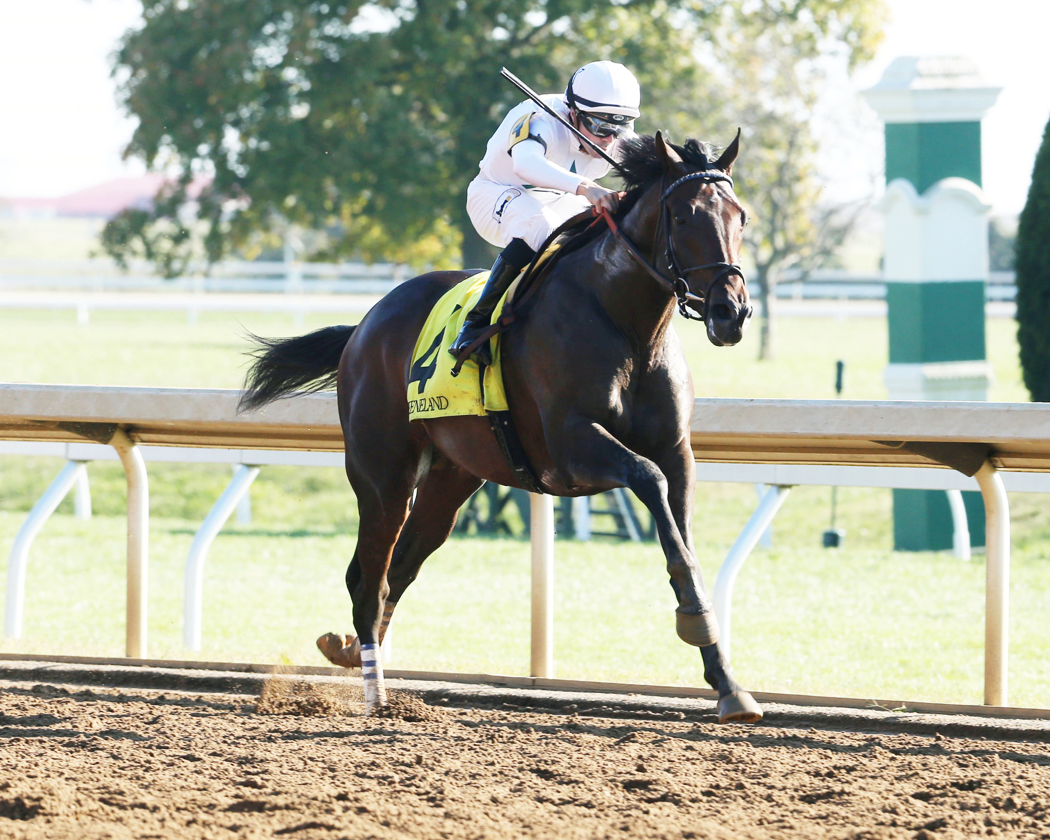 Quip wins an Oct. 19 allowance race