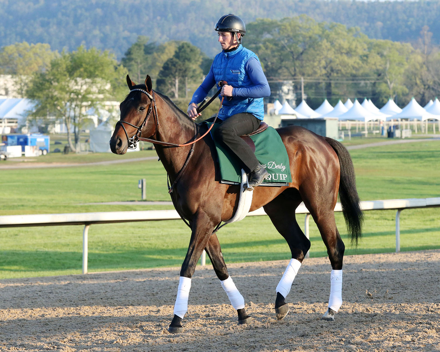 Quip at Oaklawn on April 10