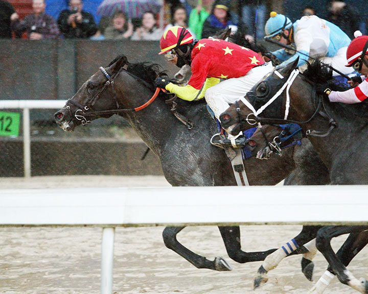Al Maktoum Challenge Round 3 headlines final Dubai World Cup preps