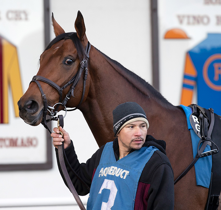 Quixotic at Aqueduct Racetrack on Dec. 7