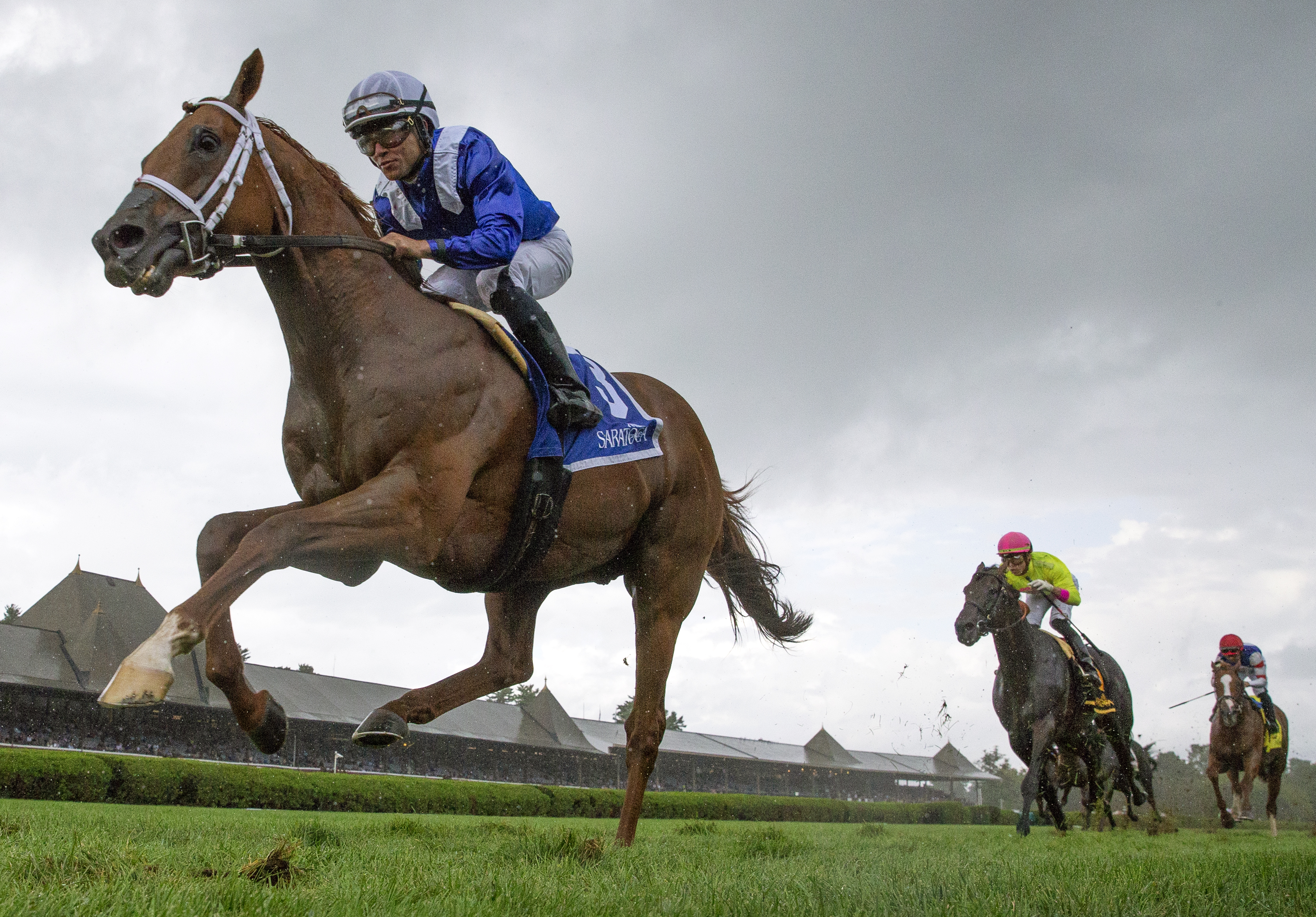 Qurbaan wins the 2019 Bernard Baruch