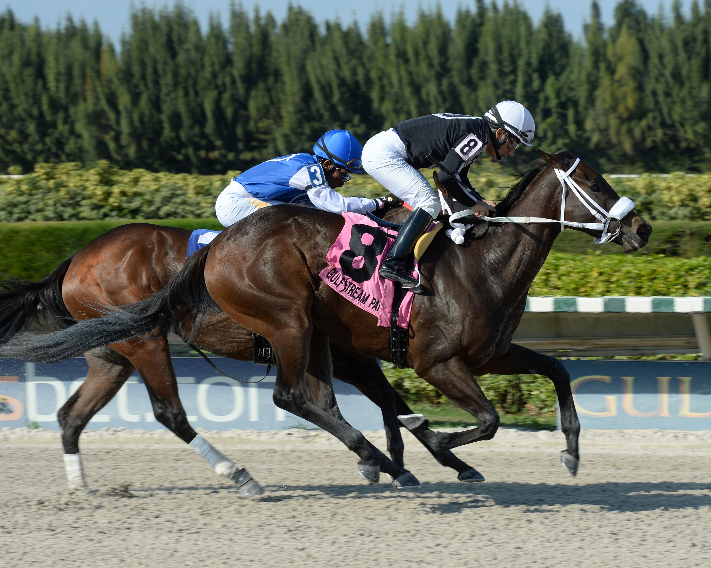 R Angel Katelyn wins the Juvenile Filly Sprint Stakes at Gulfstream