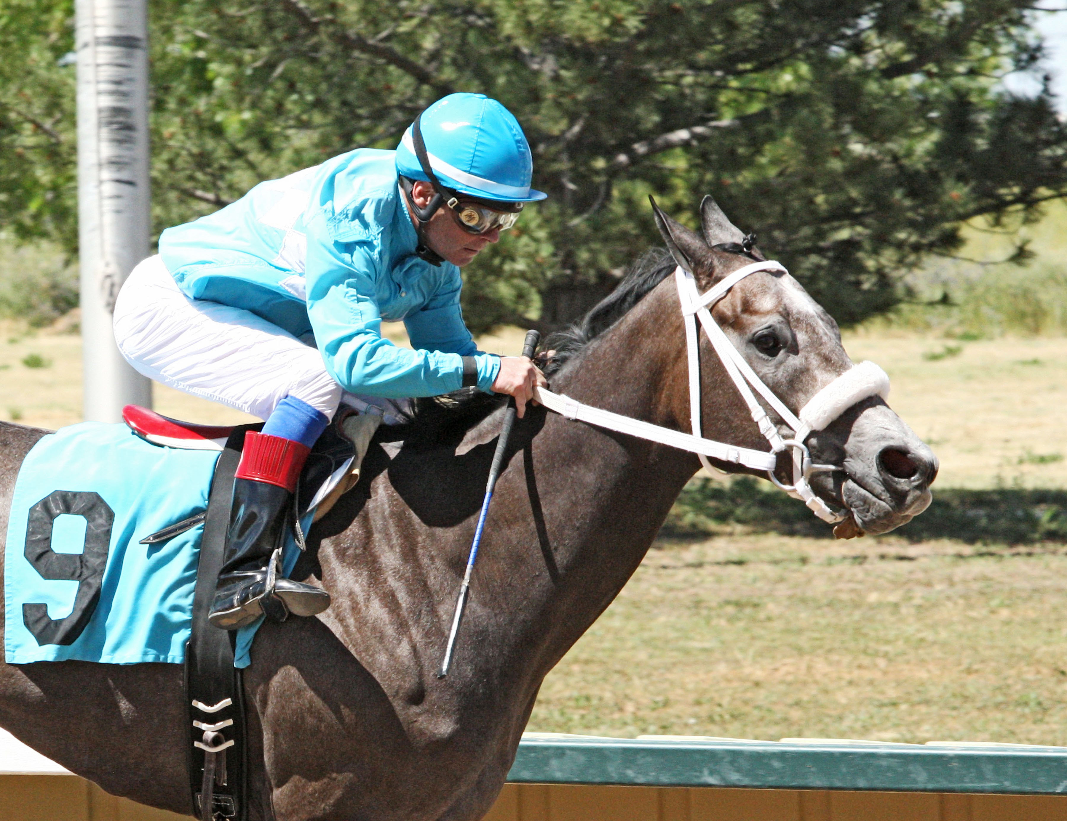 R Dub wins the CTBA Futurity