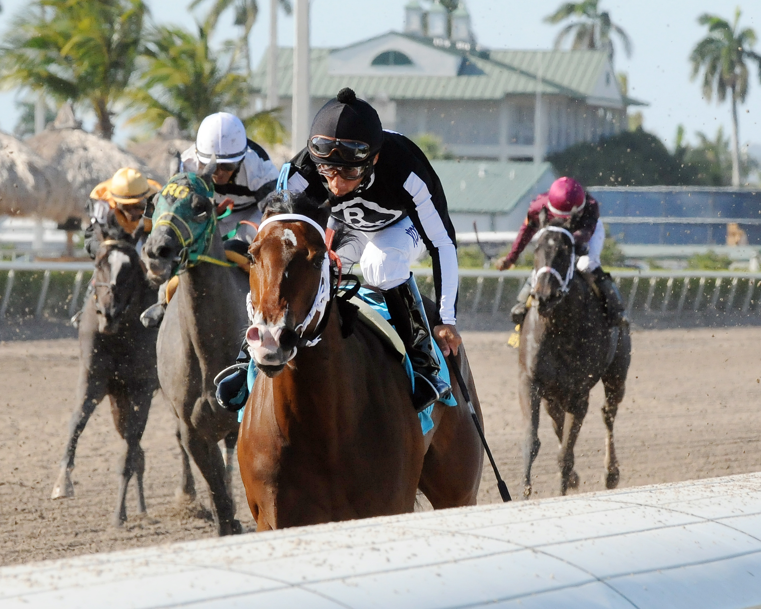 R Free Roll wins the Hollywood Beach Stakes